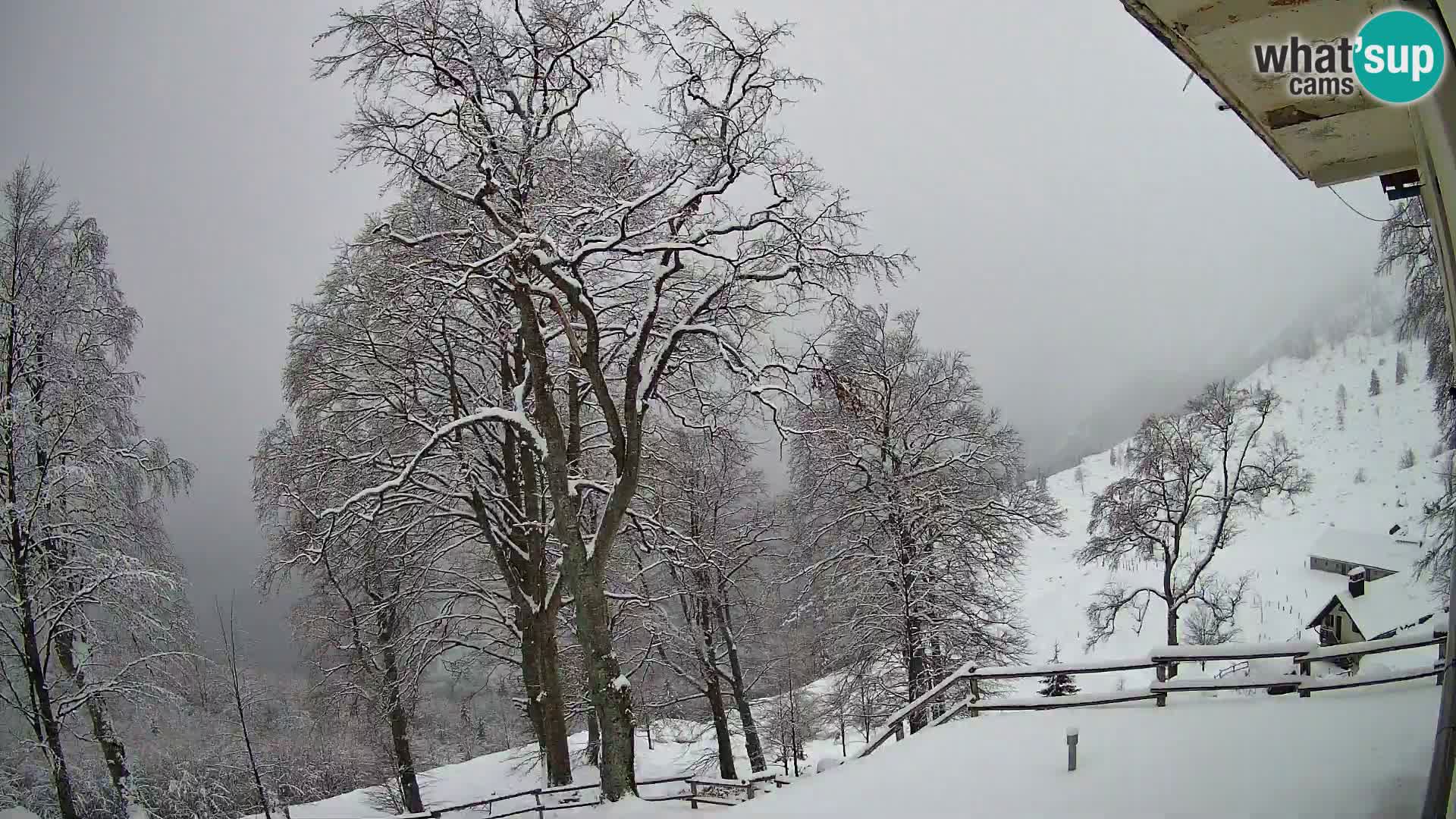 Refuge de la montagne Planina Razor caméra en direct (1315) | vue sur Tolminski Migovec