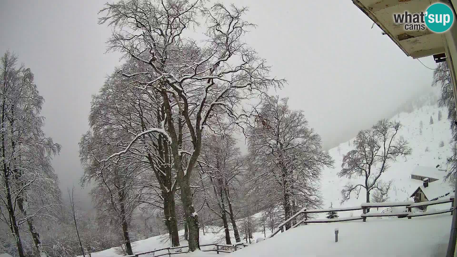 Planina Razor Bergütte Webcam (1315) | Blick auf Tolminski Migovec