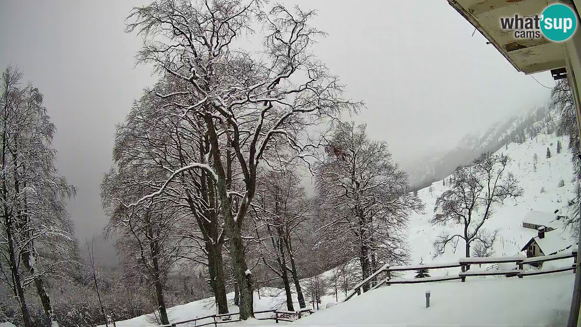 Cámara en vivo de la cabaña de montaña Planina Razor (1315) | vista hacia Tolminski Migovec