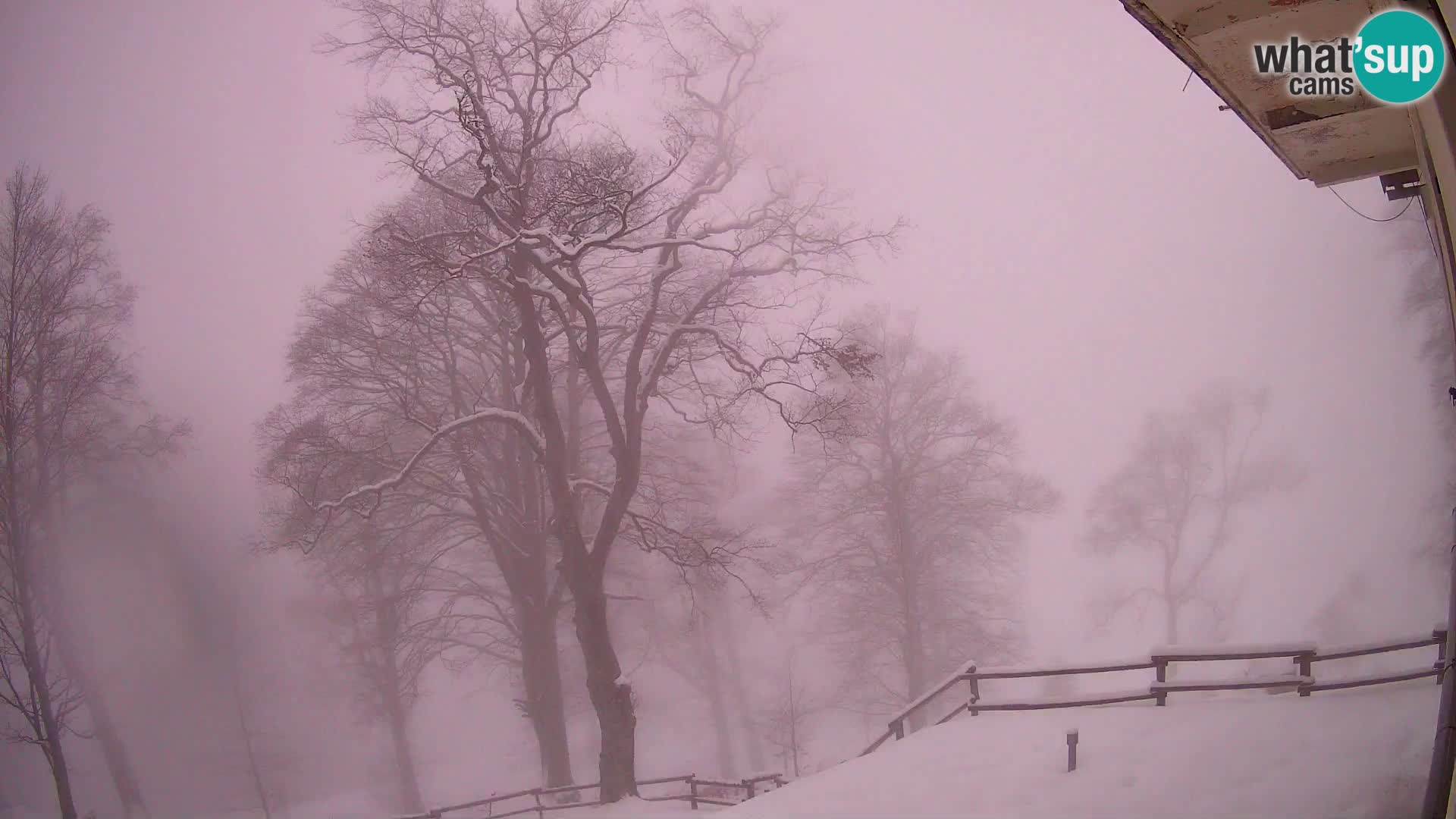 Planina Razor Bergütte Webcam (1315) | Blick auf Tolminski Migovec
