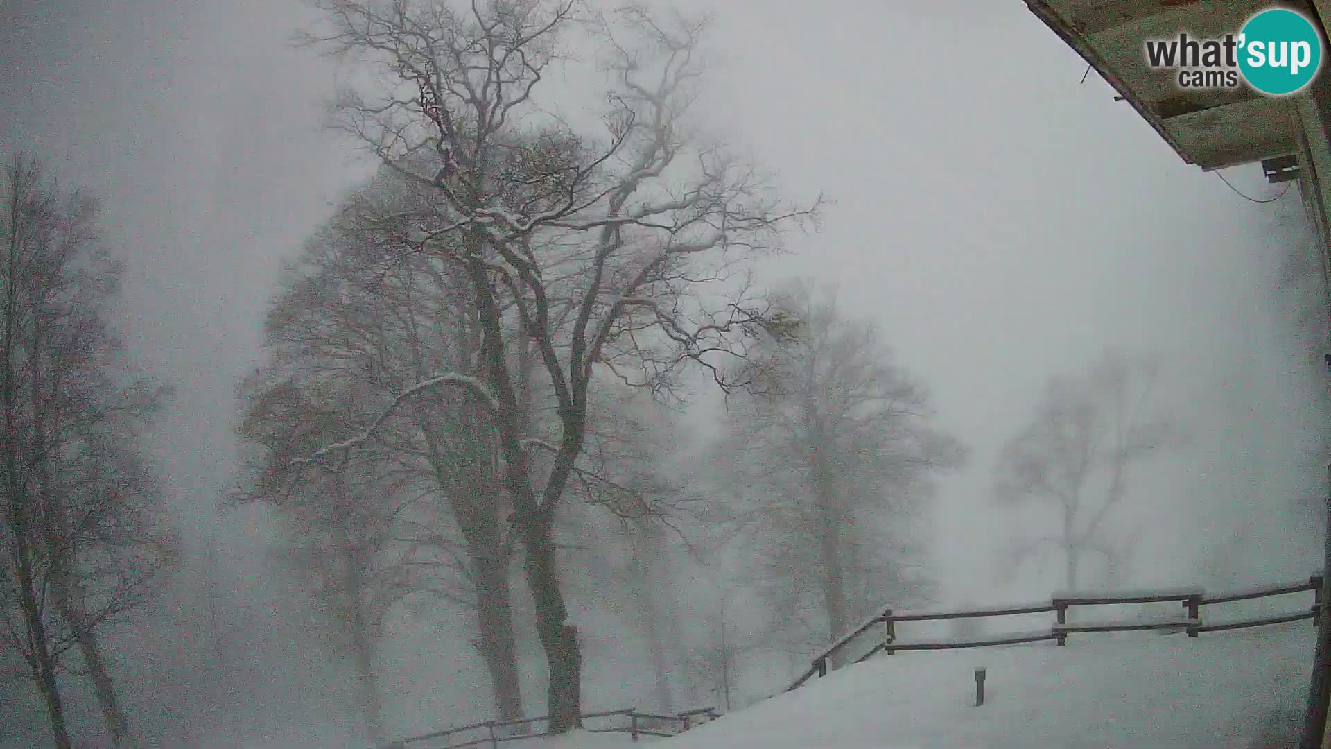 Planina Razor Mountain Hut live cam (1315) | view to Tolminski Migovec