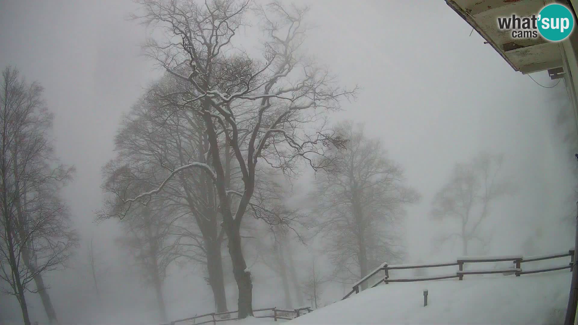 Koča na Planini Razor spletna kamera (1315) | Pogled na Tolminski Migovec