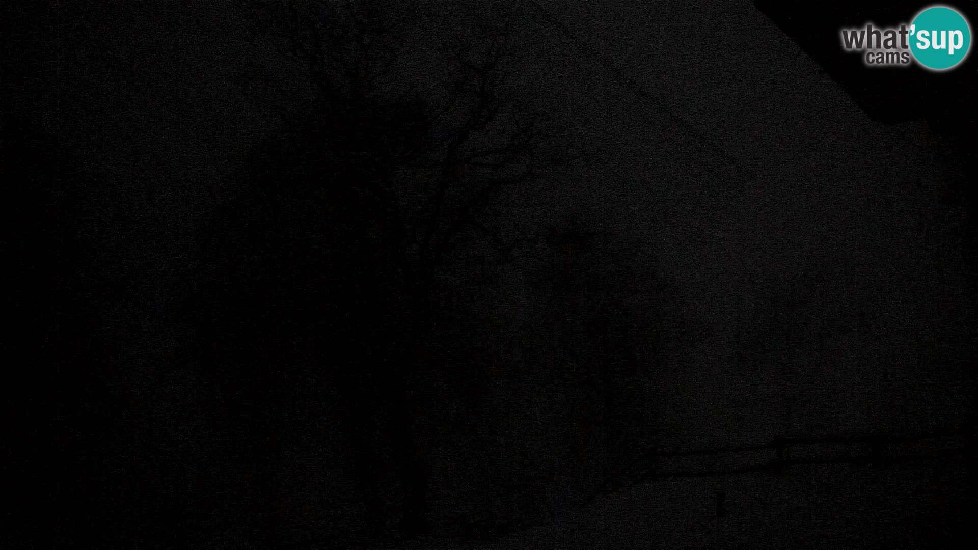 Planina Razor Bergütte Webcam (1315) | Blick auf Tolminski Migovec