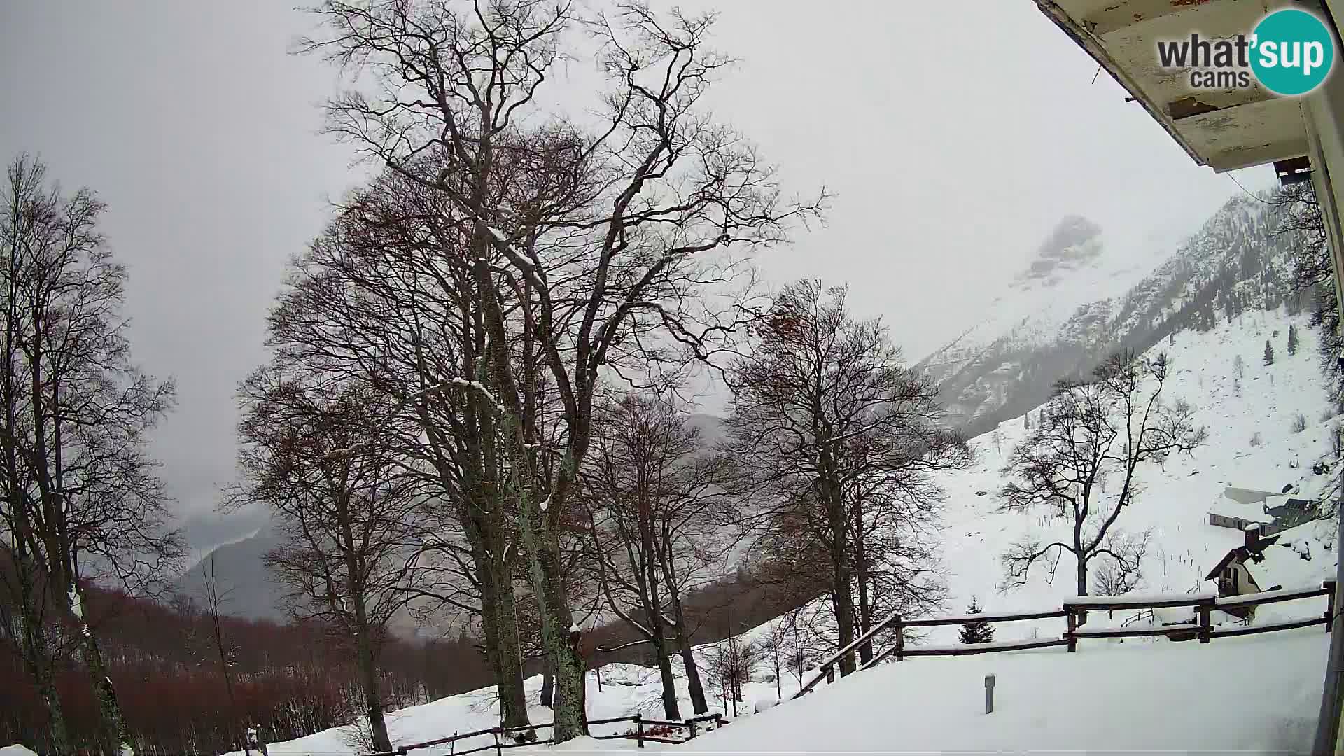 Baita di montagna Planina Razor webcam (1315) | vista su Tolminski Migovec