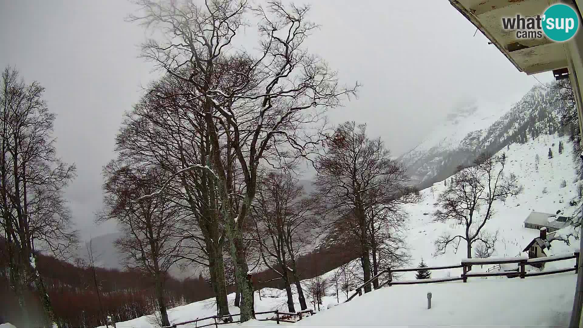 Baita di montagna Planina Razor webcam (1315) | vista su Tolminski Migovec