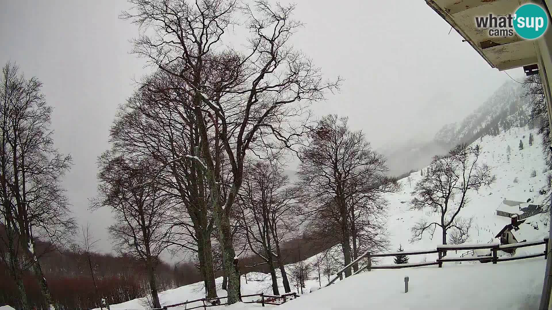Cámara en vivo de la cabaña de montaña Planina Razor (1315) | vista hacia Tolminski Migovec