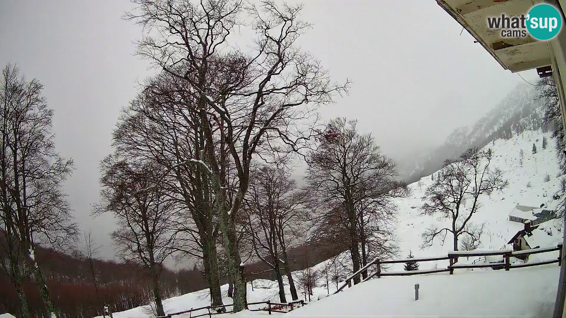 Planina Razor Mountain Hut live cam (1315) | view to Tolminski Migovec