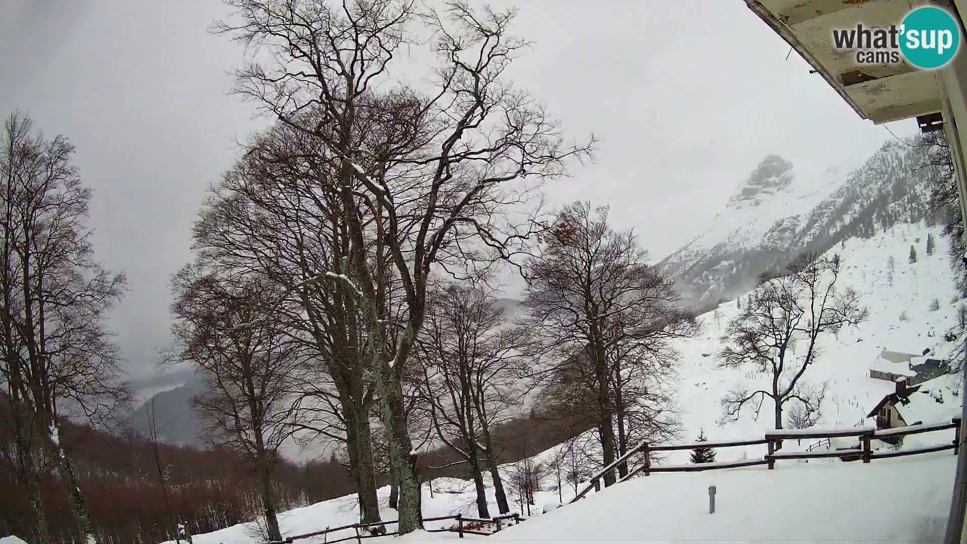 Planinarski dom na planini Razor (1315) | Pogled na Tolminski Migovec