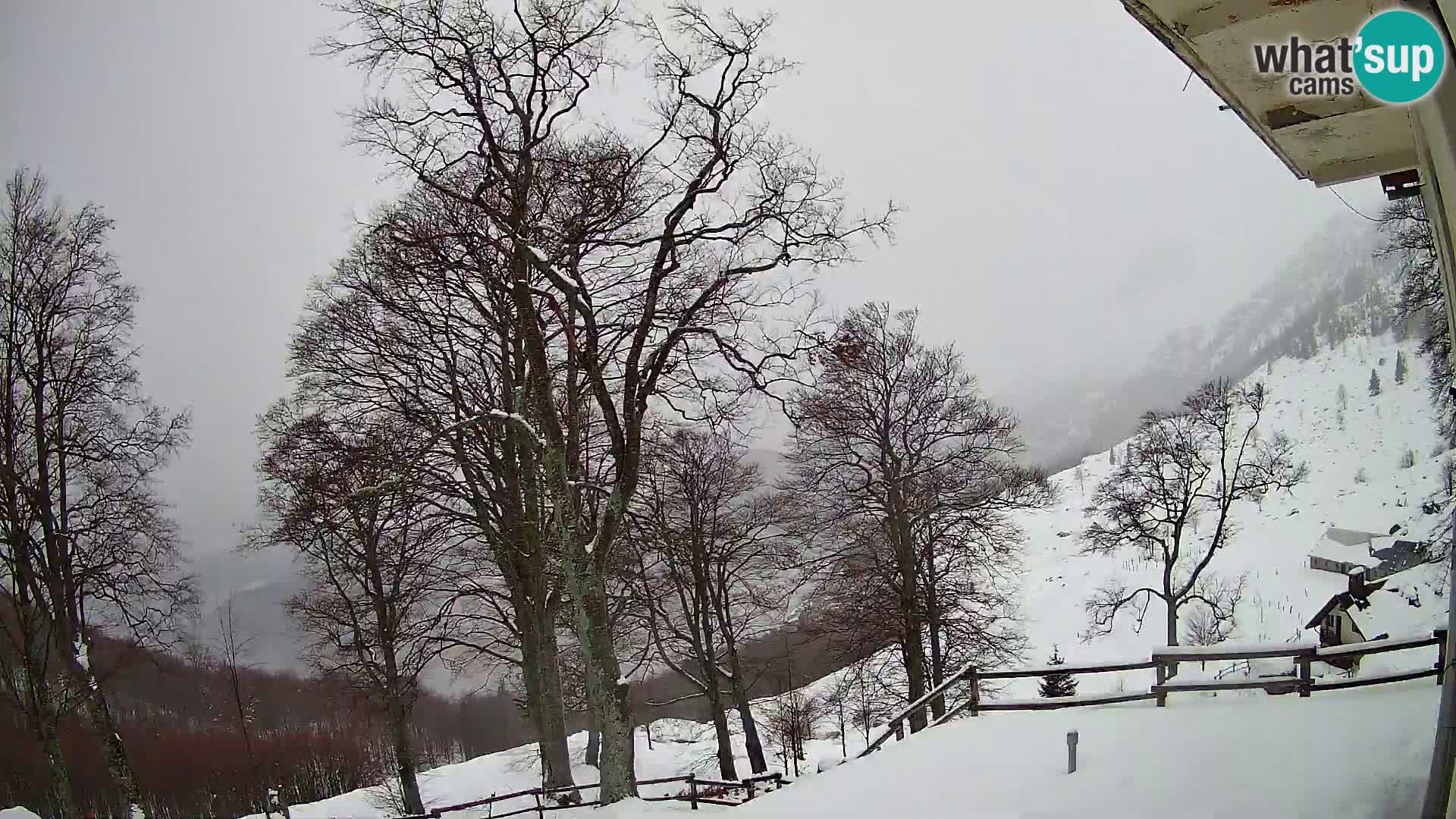 Cámara en vivo de la cabaña de montaña Planina Razor (1315) | vista hacia Tolminski Migovec