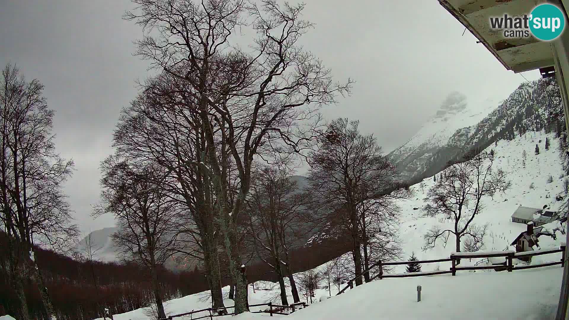 Baita di montagna Planina Razor webcam (1315) | vista su Tolminski Migovec