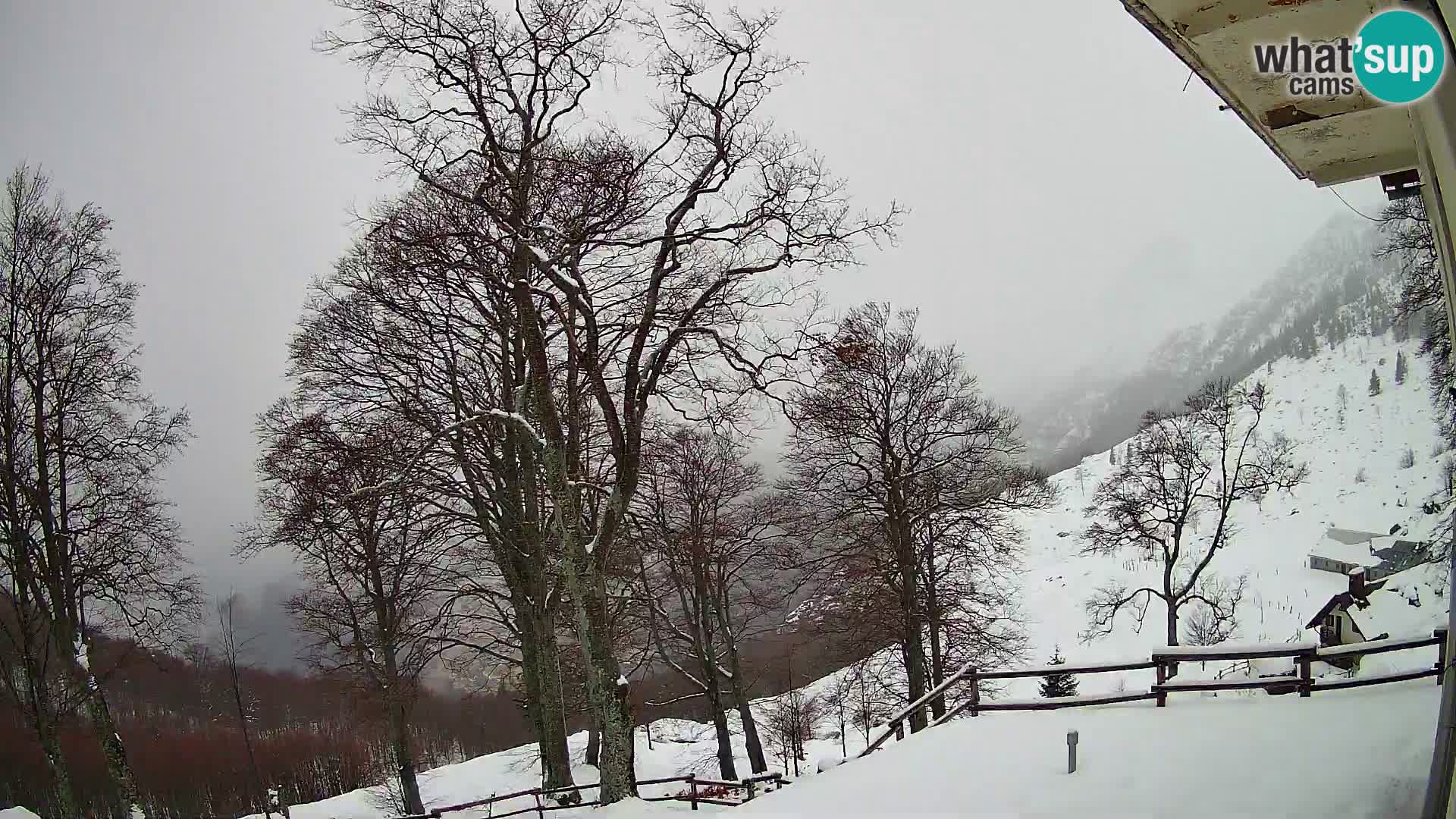 Koča na Planini Razor spletna kamera (1315) | Pogled na Tolminski Migovec