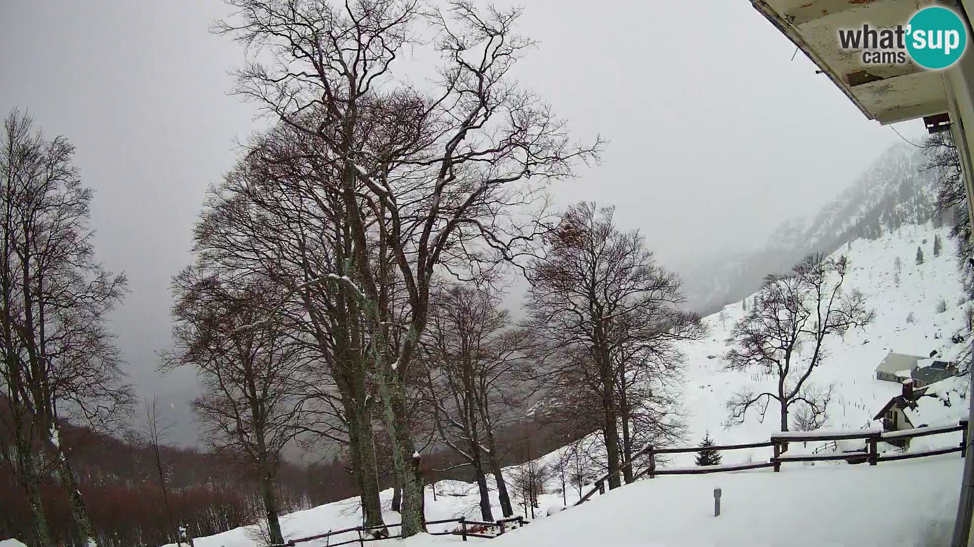 Planina Razor Mountain Hut live cam (1315) | view to Tolminski Migovec