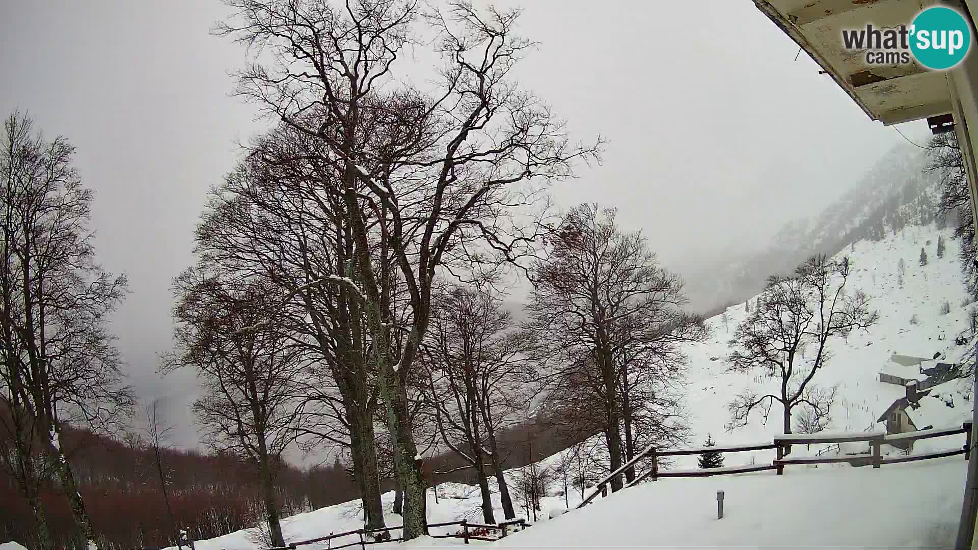 Planinarski dom na planini Razor (1315) | Pogled na Tolminski Migovec