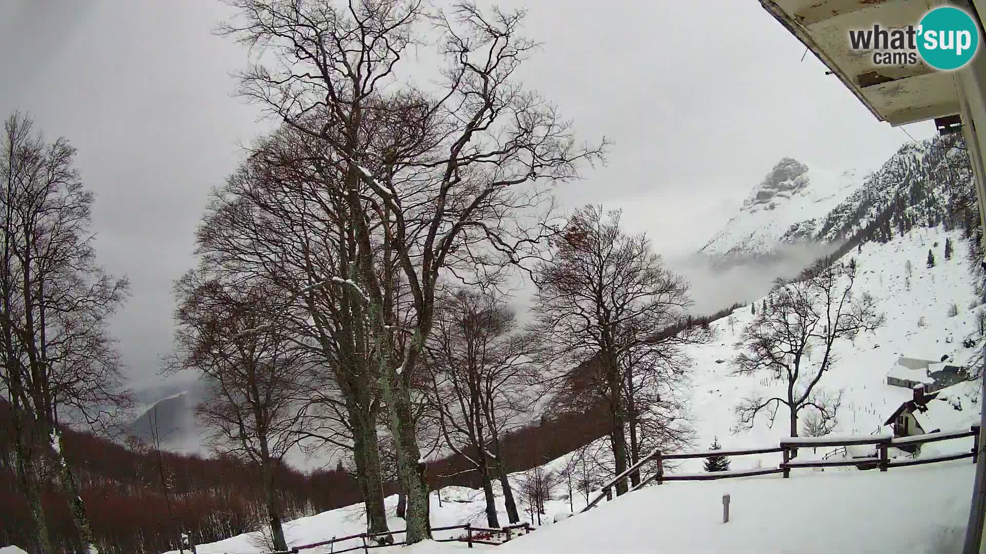 Planina Razor Bergütte Webcam (1315) | Blick auf Tolminski Migovec