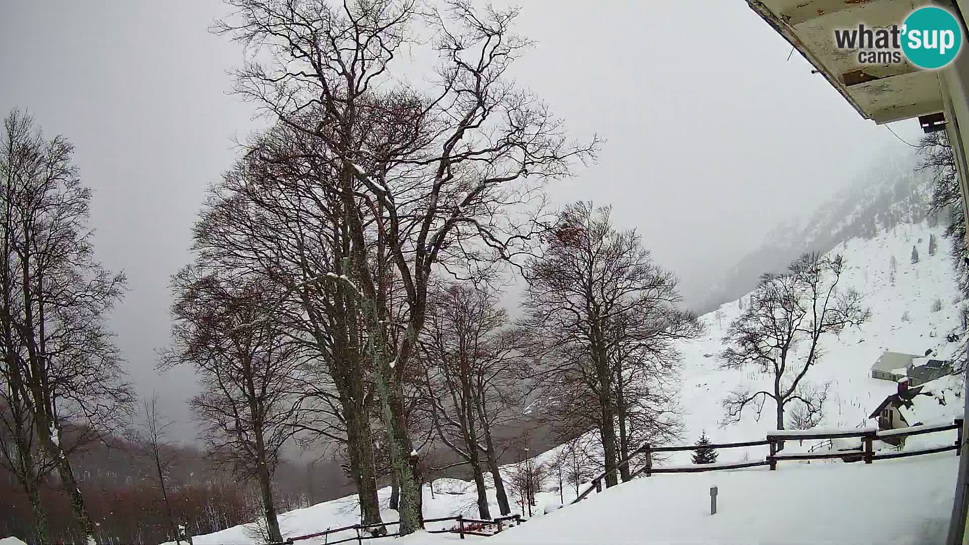 Planina Razor Mountain Hut live cam (1315) | view to Tolminski Migovec