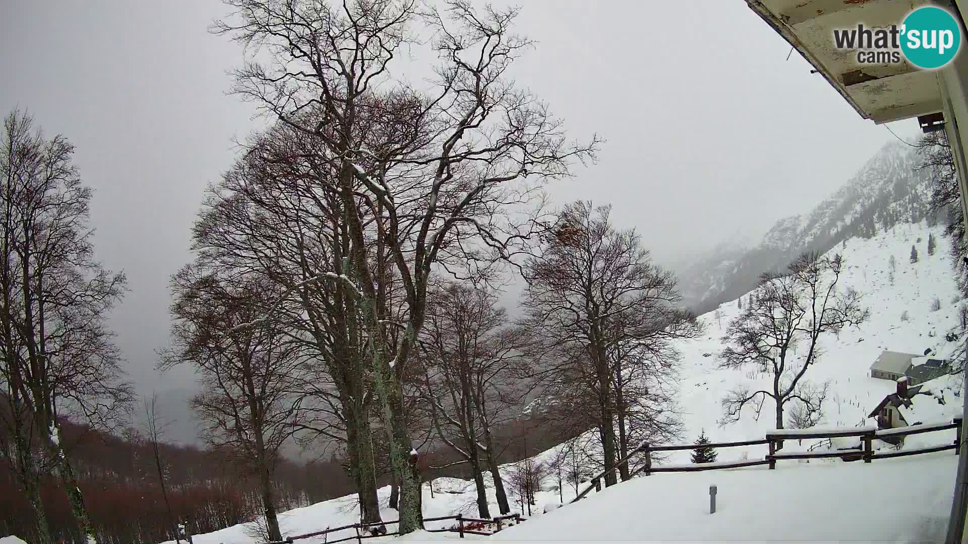 Planina Razor Bergütte Webcam (1315) | Blick auf Tolminski Migovec