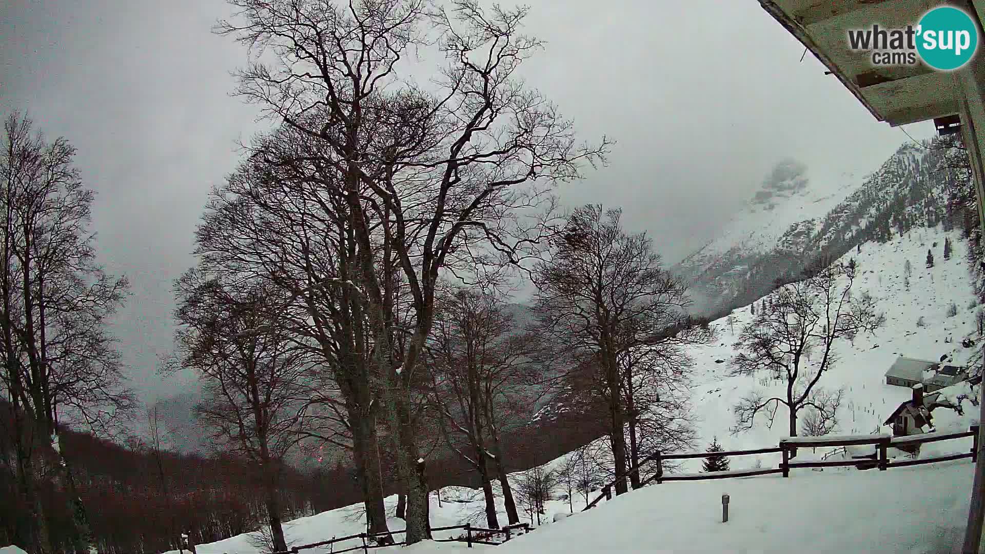 Baita di montagna Planina Razor webcam (1315) | vista su Tolminski Migovec