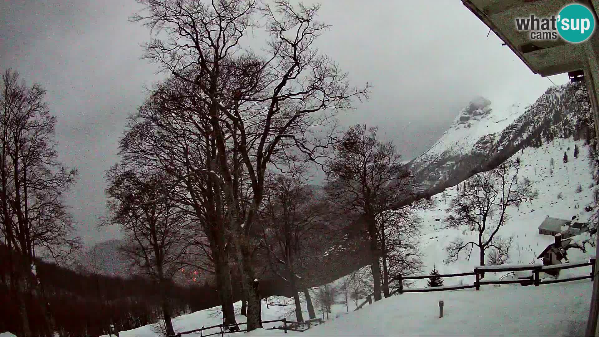 Baita di montagna Planina Razor webcam (1315) | vista su Tolminski Migovec