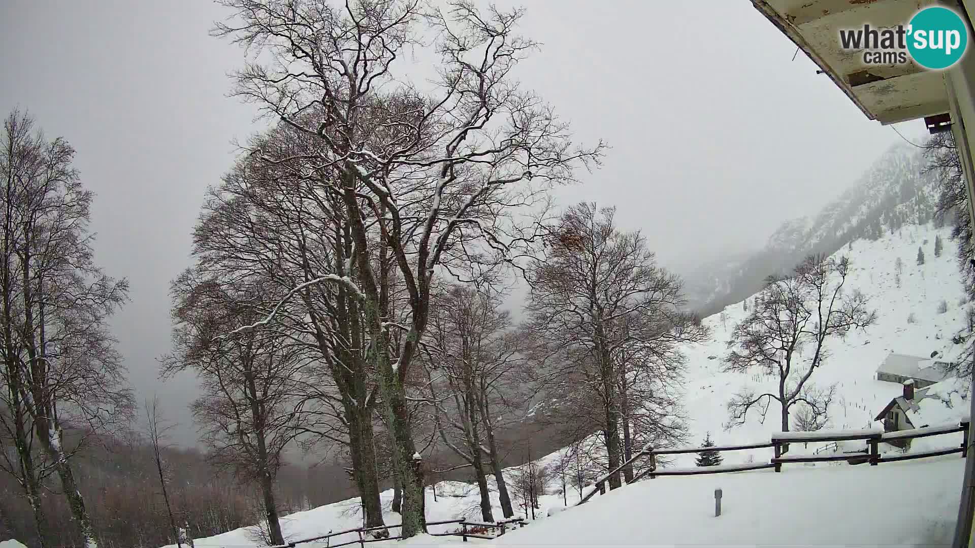 Refuge de la montagne Planina Razor caméra en direct (1315) | vue sur Tolminski Migovec