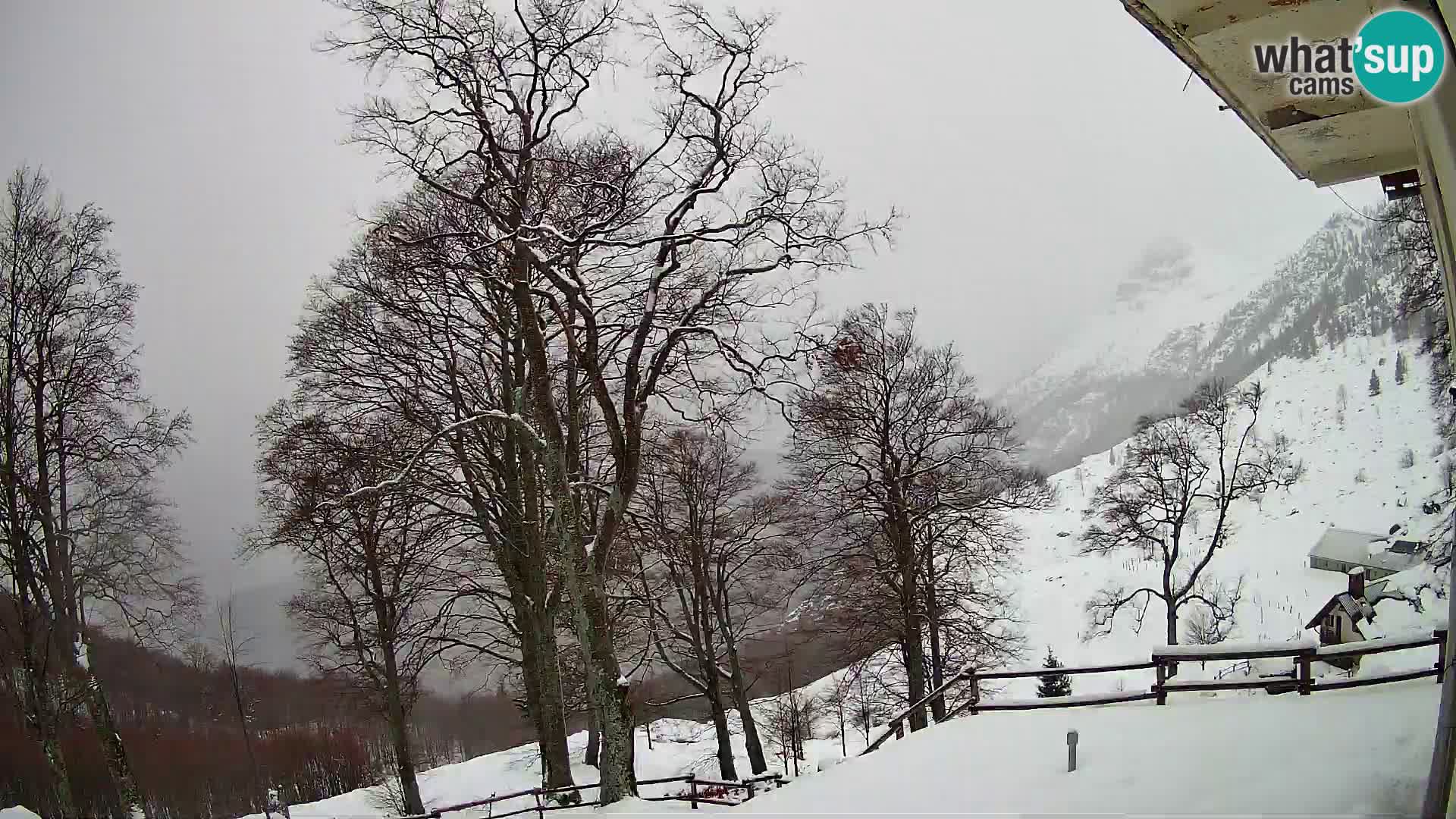 Planina Razor Mountain Hut live cam (1315) | view to Tolminski Migovec