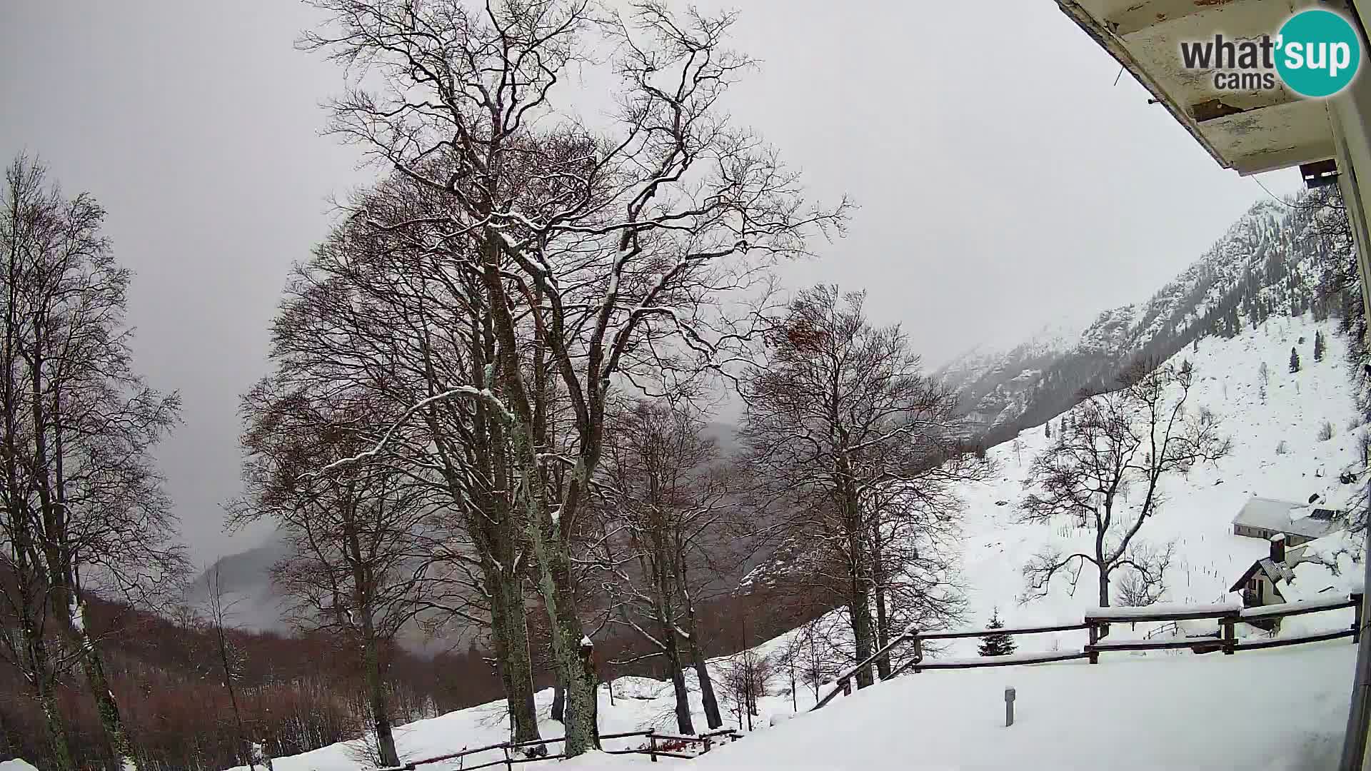 Baita di montagna Planina Razor webcam (1315) | vista su Tolminski Migovec