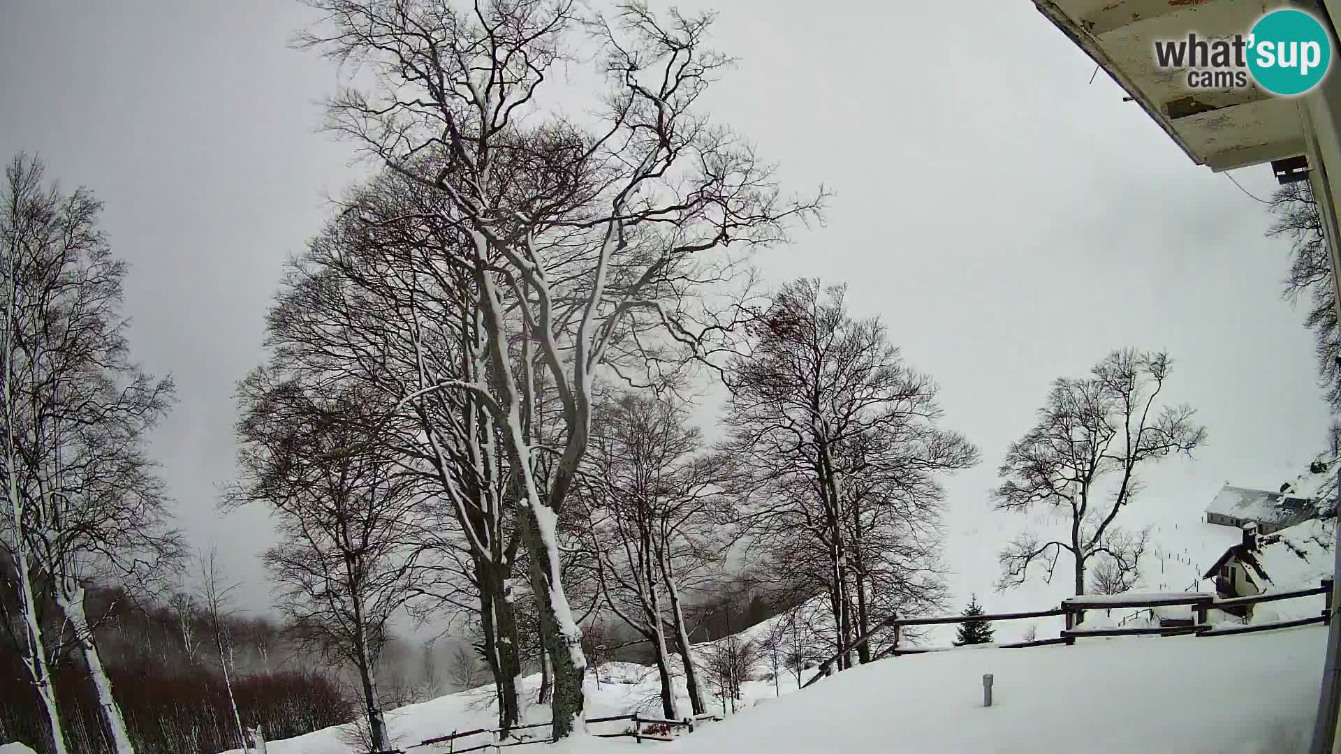 Planinarski dom na planini Razor (1315) | Pogled na Tolminski Migovec