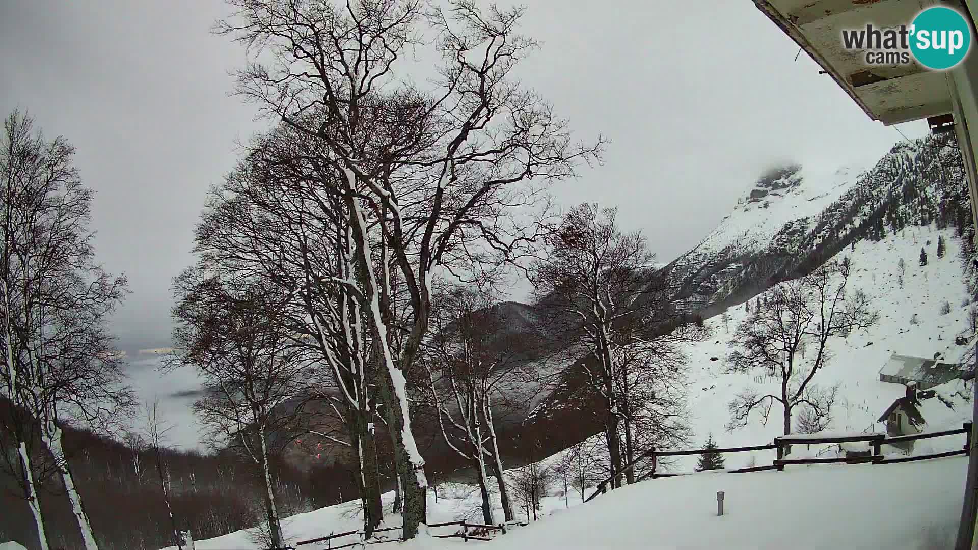 Cámara en vivo de la cabaña de montaña Planina Razor (1315) | vista hacia Tolminski Migovec