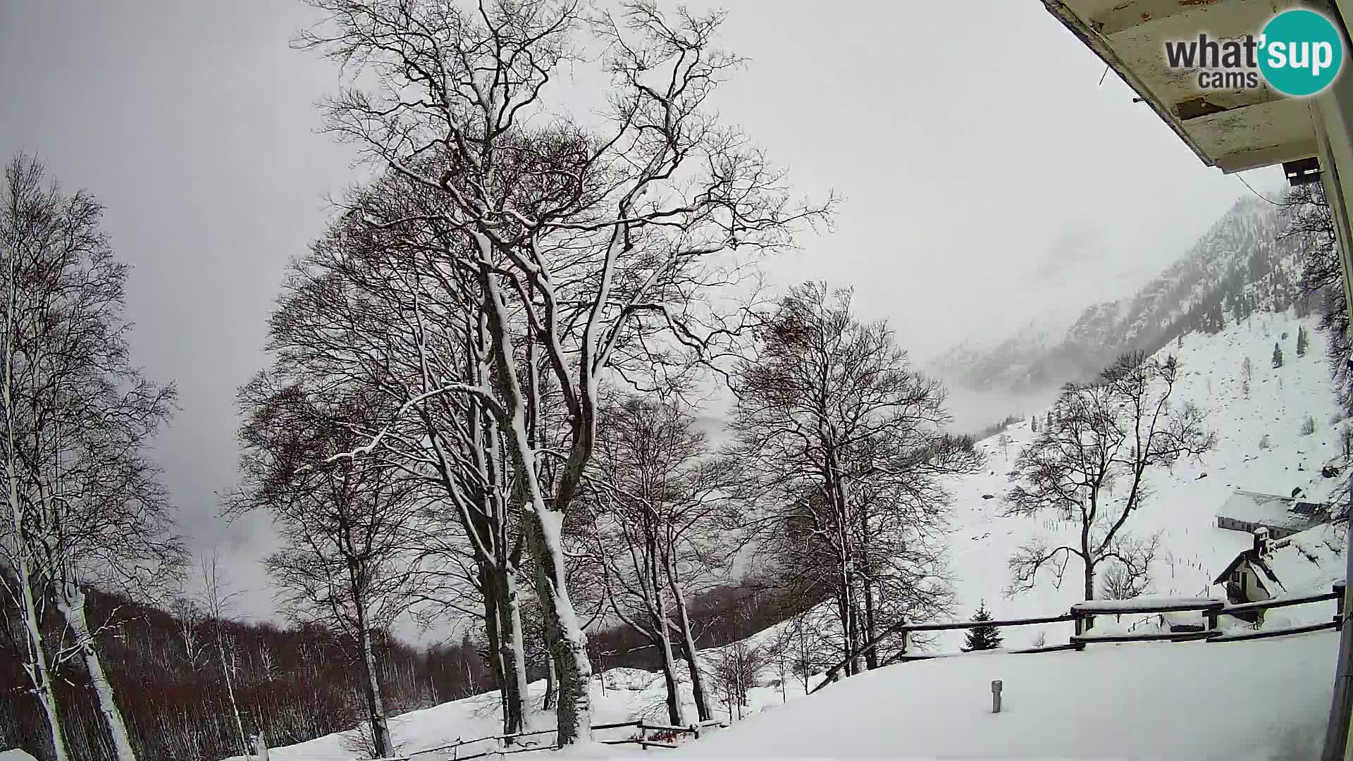 Planina Razor Mountain Hut live cam (1315) | view to Tolminski Migovec