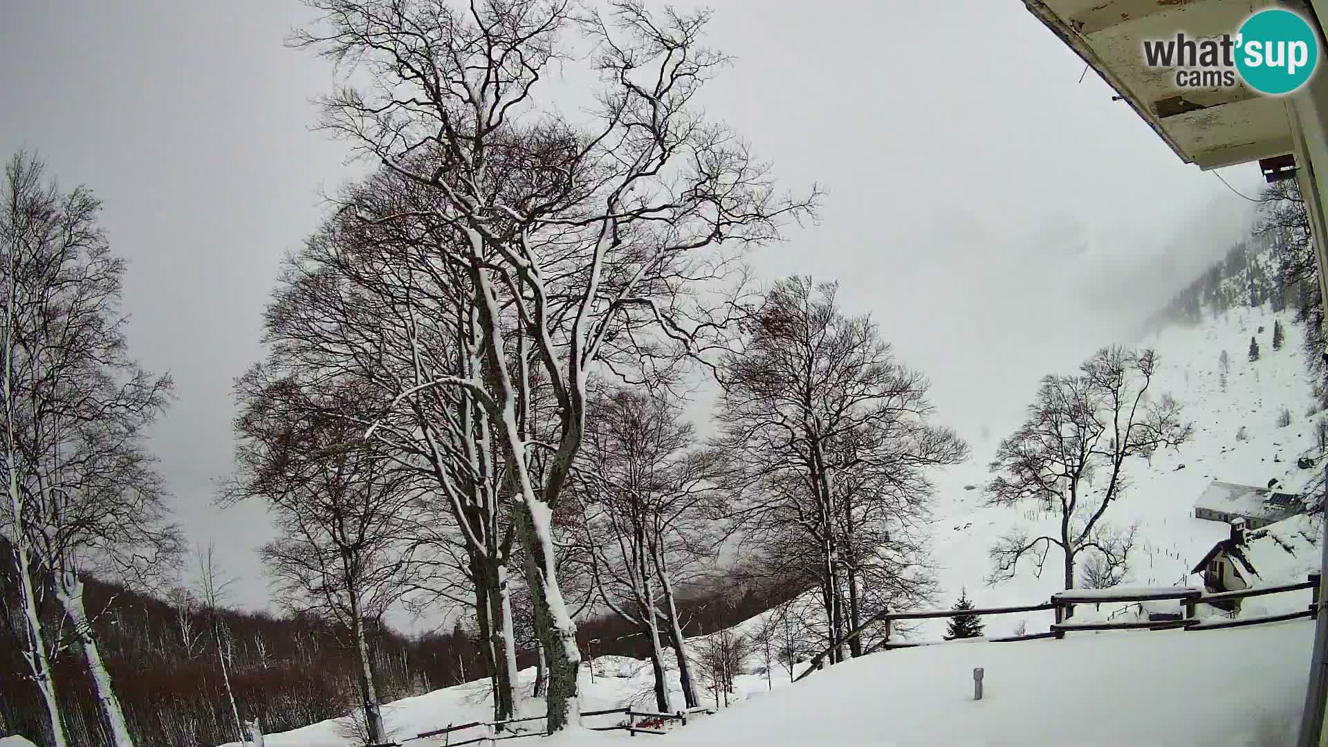 Refuge de la montagne Planina Razor caméra en direct (1315) | vue sur Tolminski Migovec