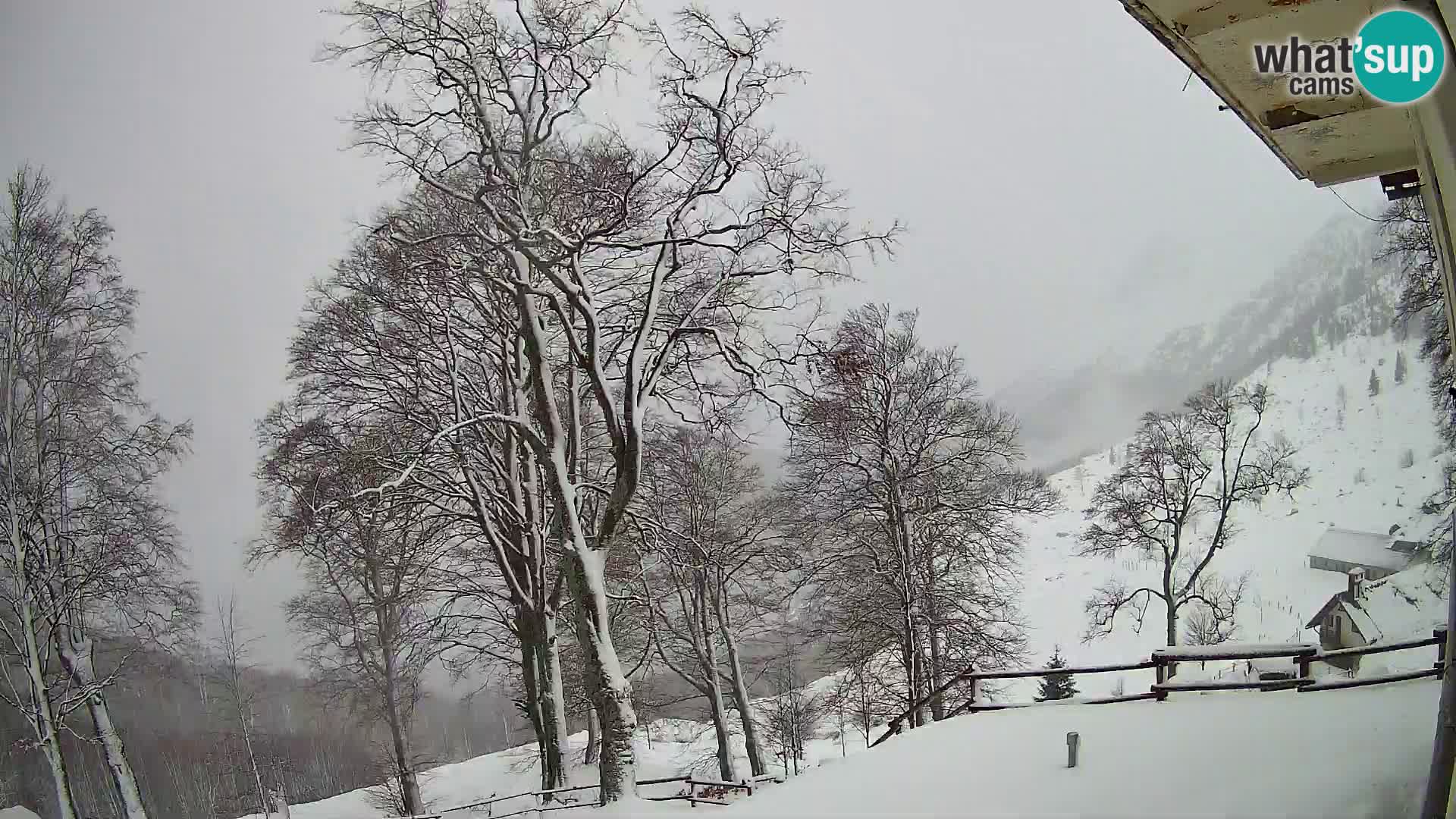 Baita di montagna Planina Razor webcam (1315) | vista su Tolminski Migovec