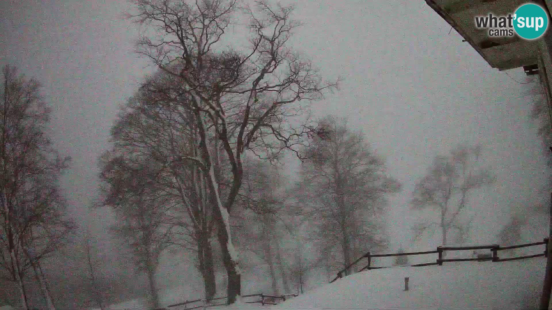 Refuge de la montagne Planina Razor caméra en direct (1315) | vue sur Tolminski Migovec