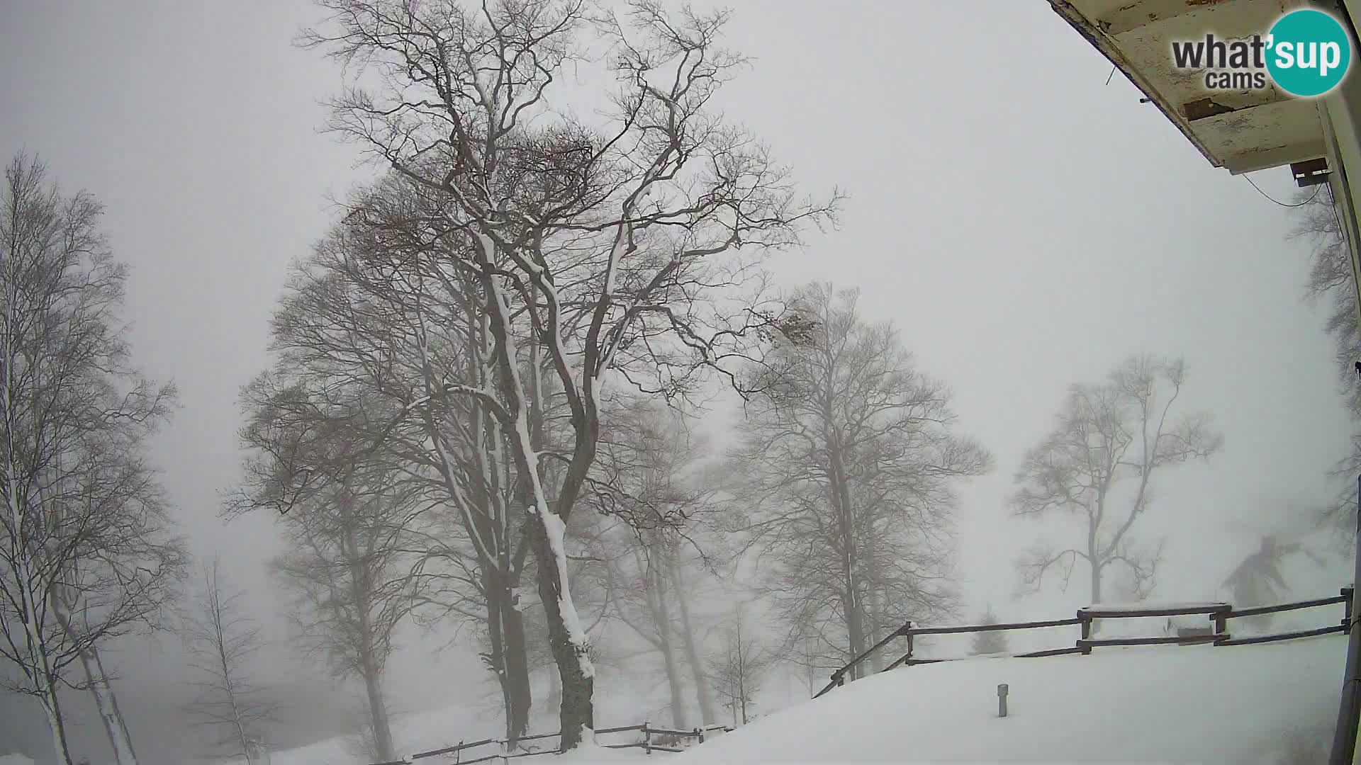 Baita di montagna Planina Razor webcam (1315) | vista su Tolminski Migovec