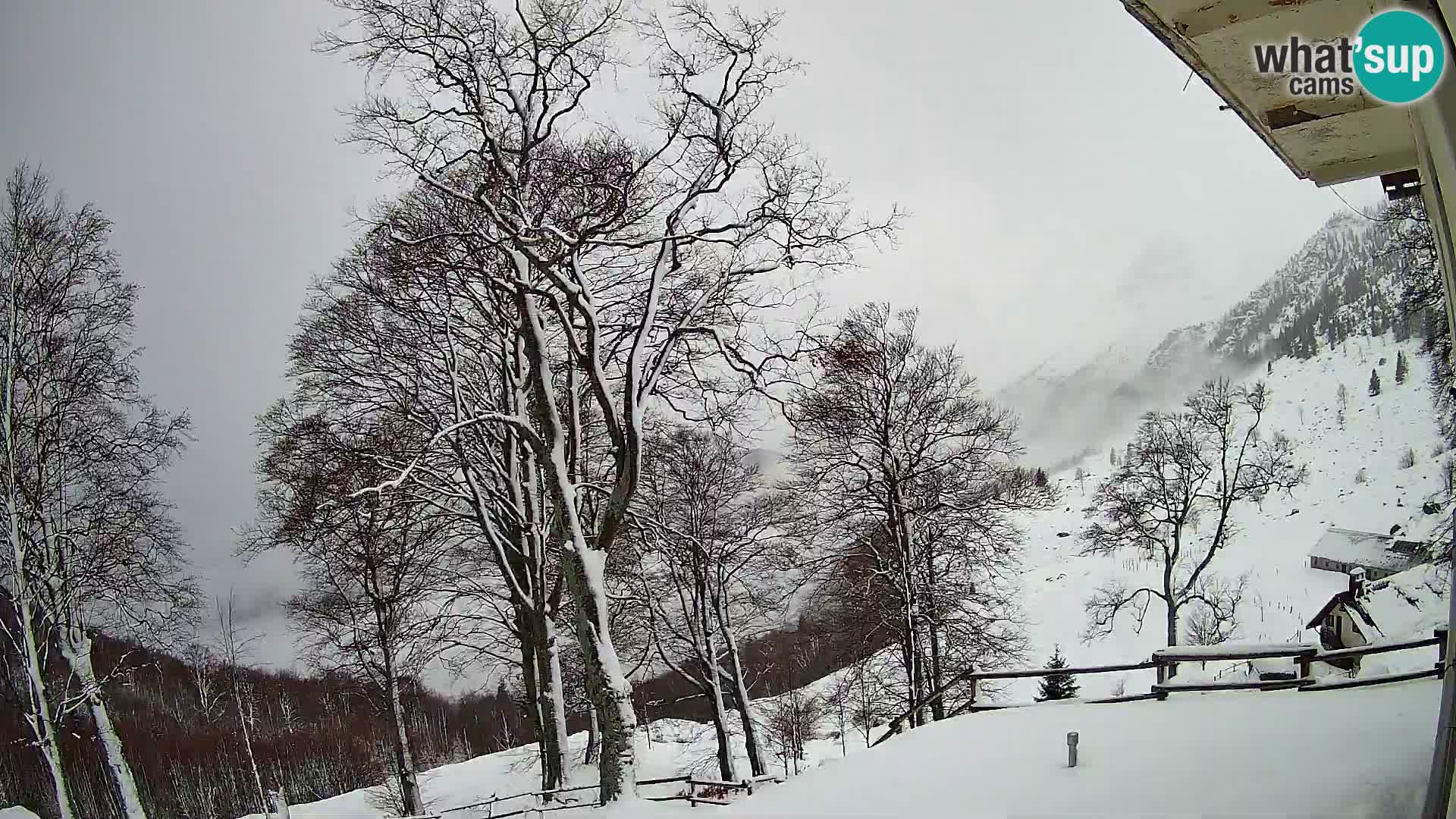 Cámara en vivo de la cabaña de montaña Planina Razor (1315) | vista hacia Tolminski Migovec