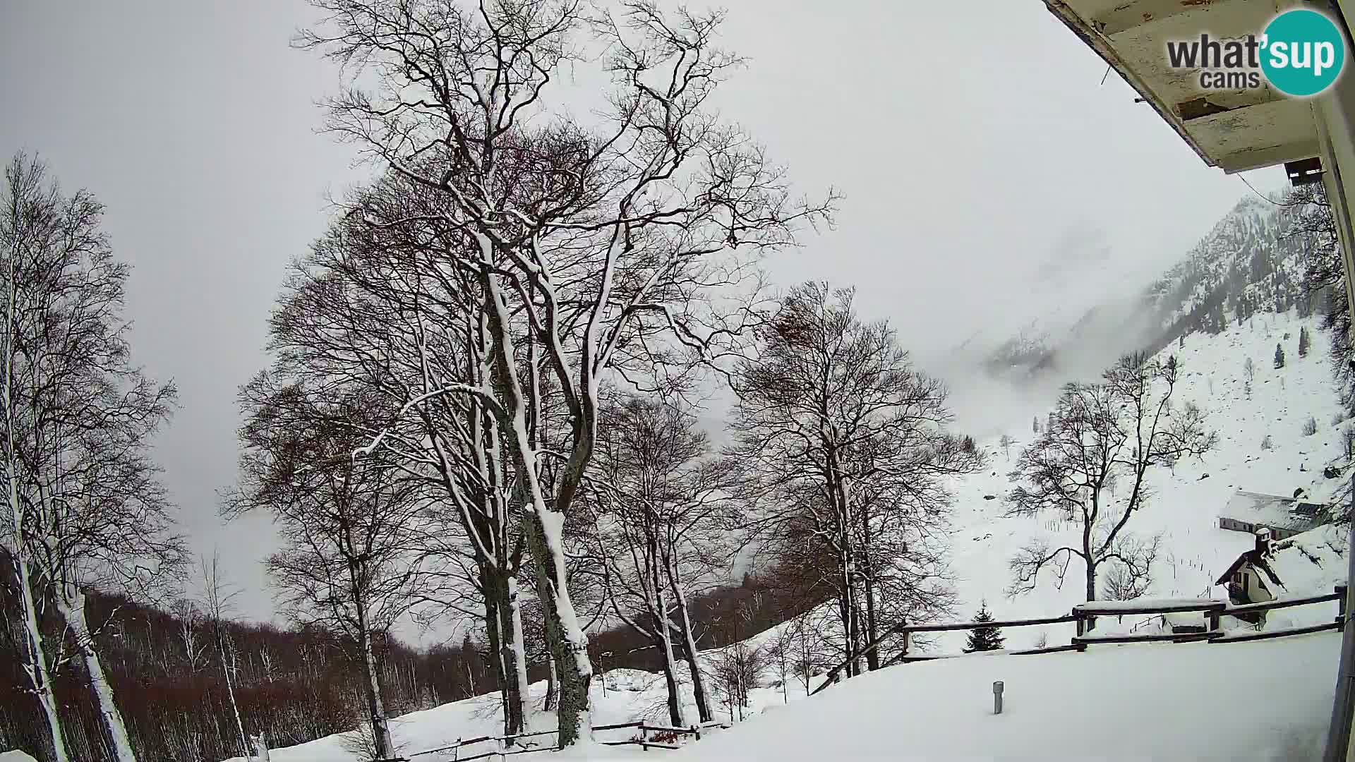 Planina Razor Bergütte Webcam (1315) | Blick auf Tolminski Migovec