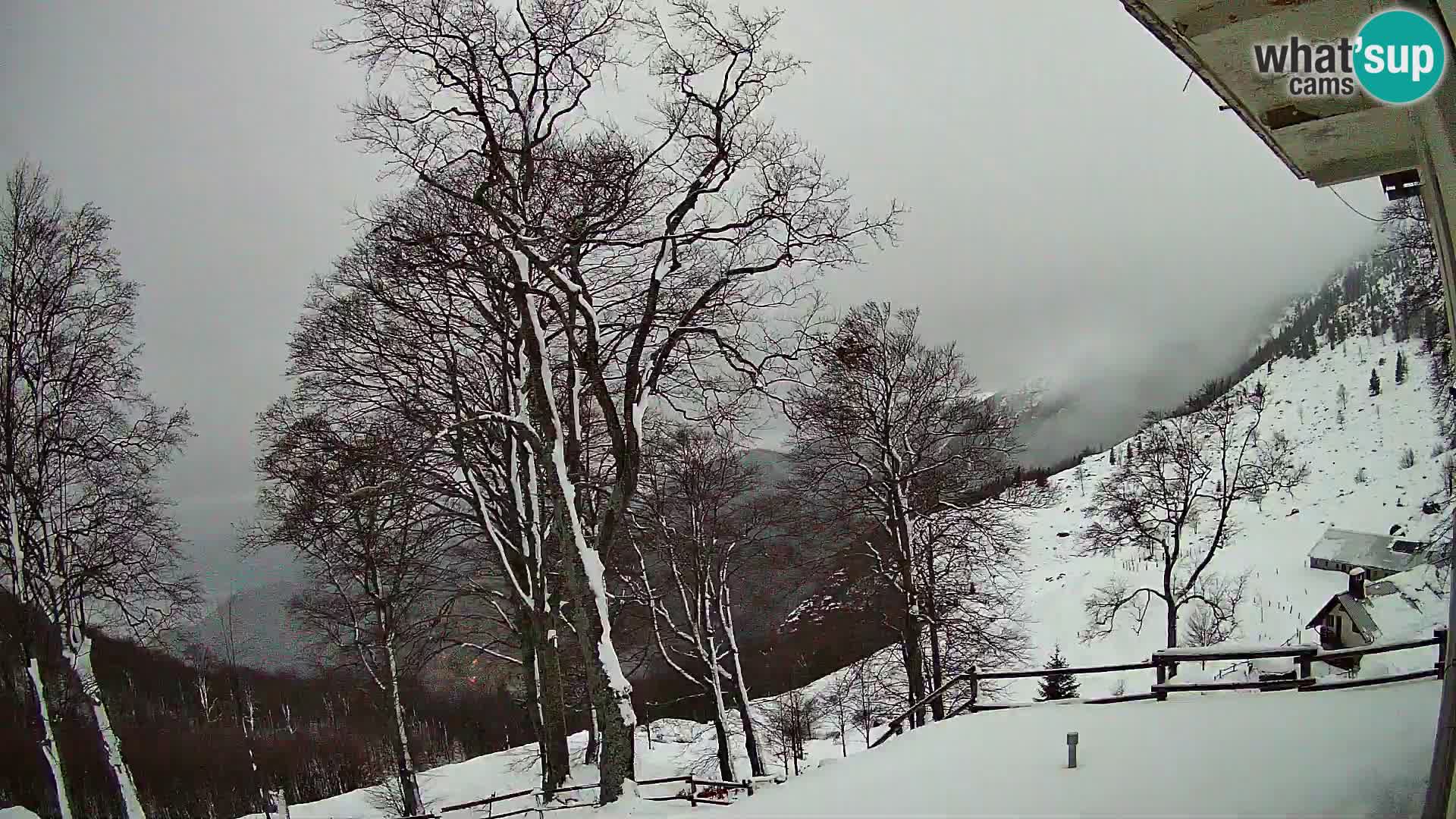 Planinarski dom na planini Razor (1315) | Pogled na Tolminski Migovec