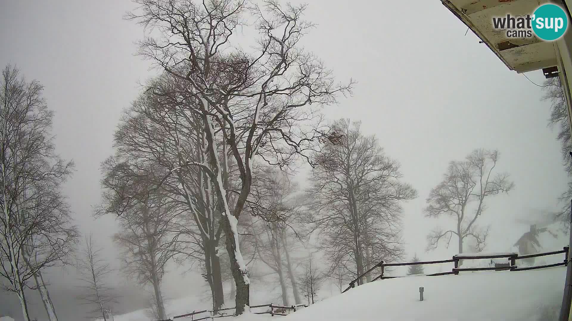 Planina Razor Bergütte Webcam (1315) | Blick auf Tolminski Migovec
