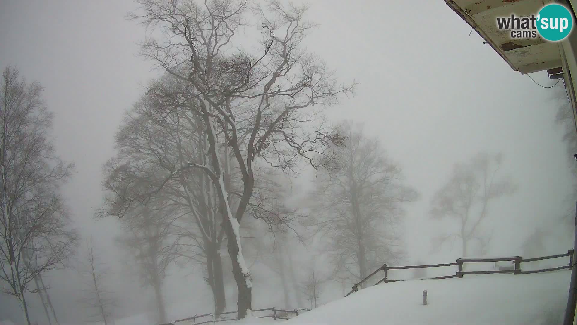 Koča na Planini Razor spletna kamera (1315) | Pogled na Tolminski Migovec