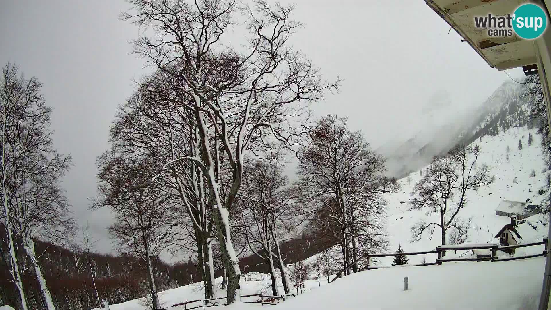 Koča na Planini Razor spletna kamera (1315) | Pogled na Tolminski Migovec