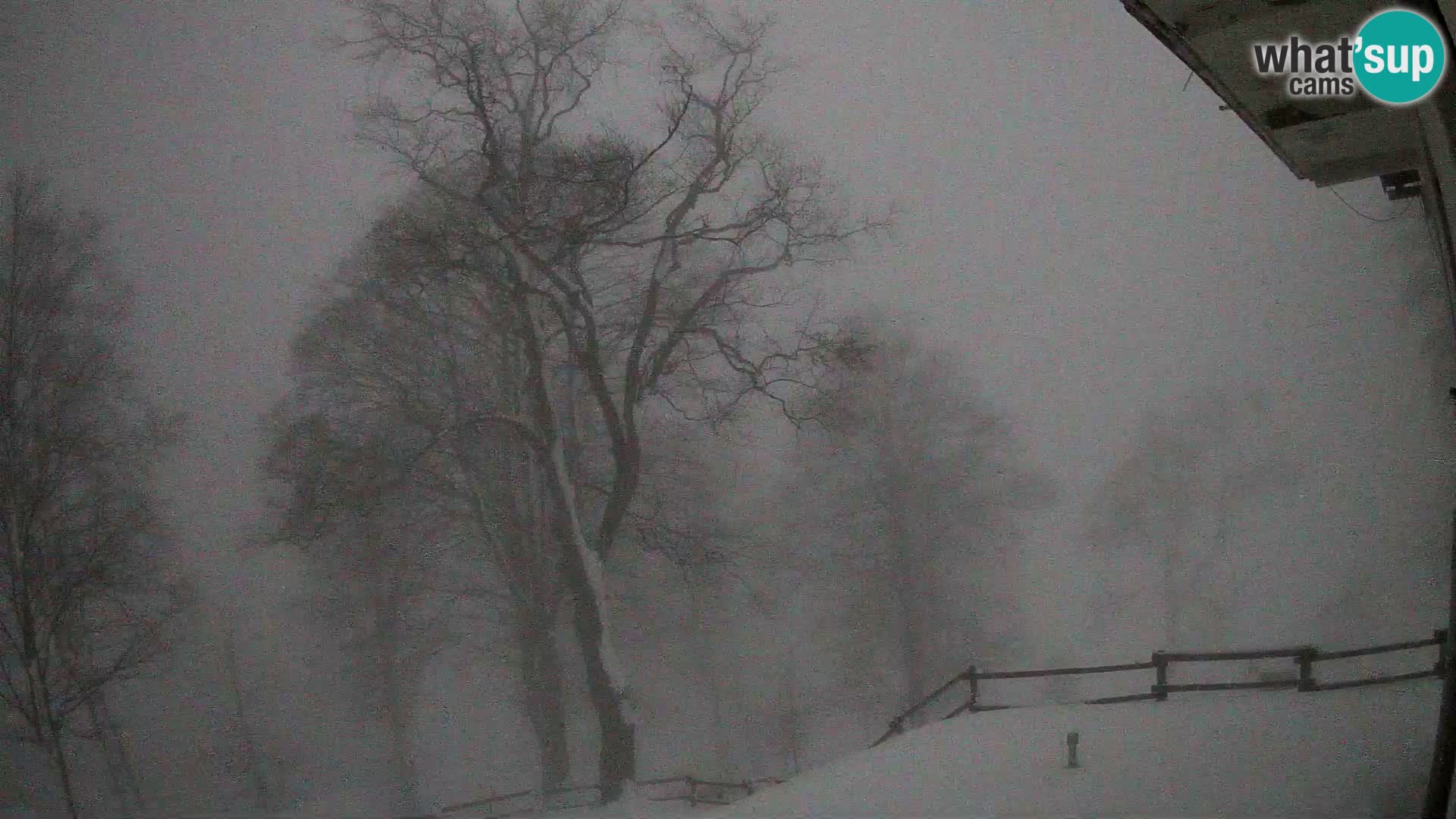 Planina Razor Mountain Hut live cam (1315) | view to Tolminski Migovec