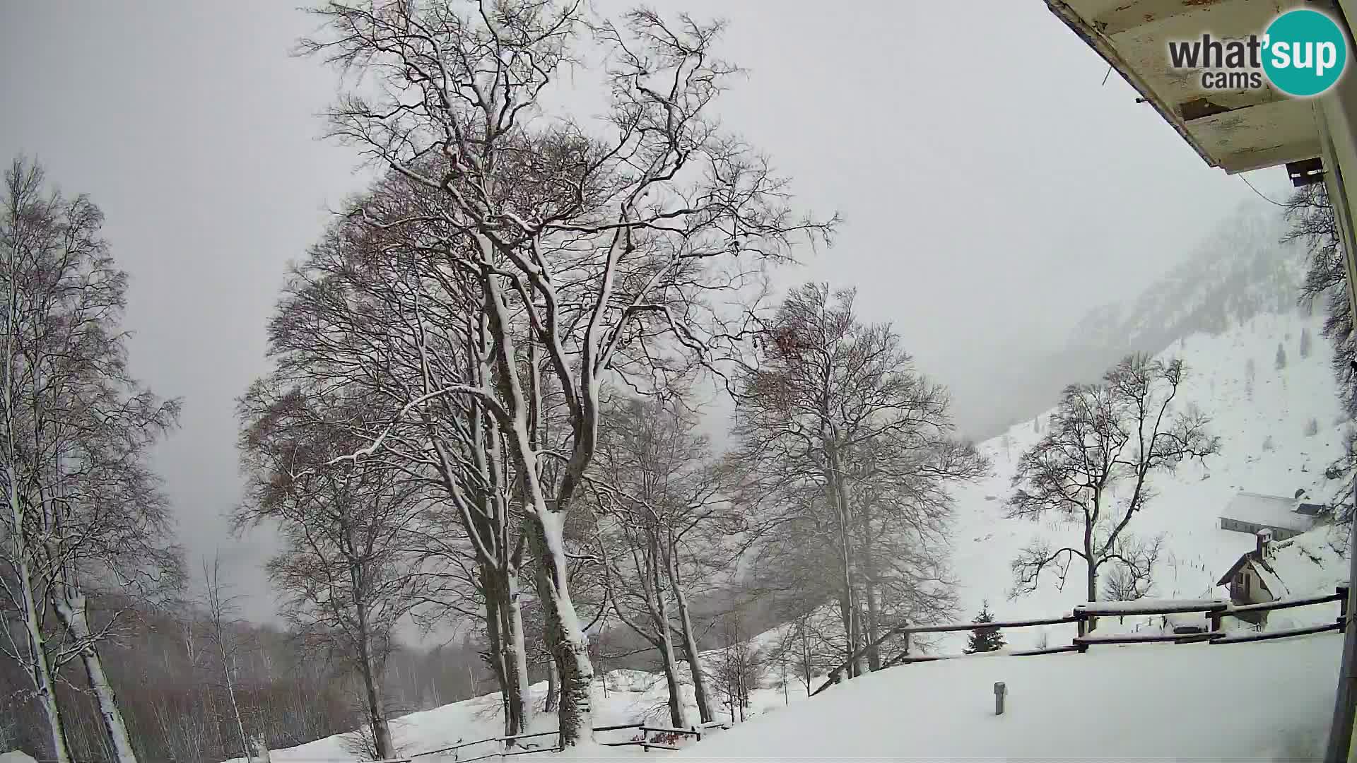 Baita di montagna Planina Razor webcam (1315) | vista su Tolminski Migovec