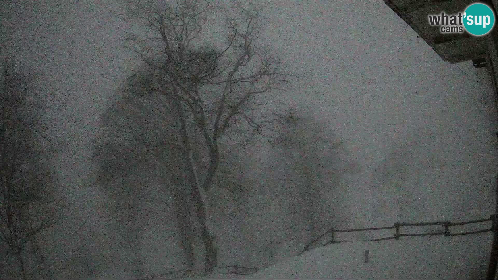 Planina Razor Mountain Hut live cam (1315) | view to Tolminski Migovec