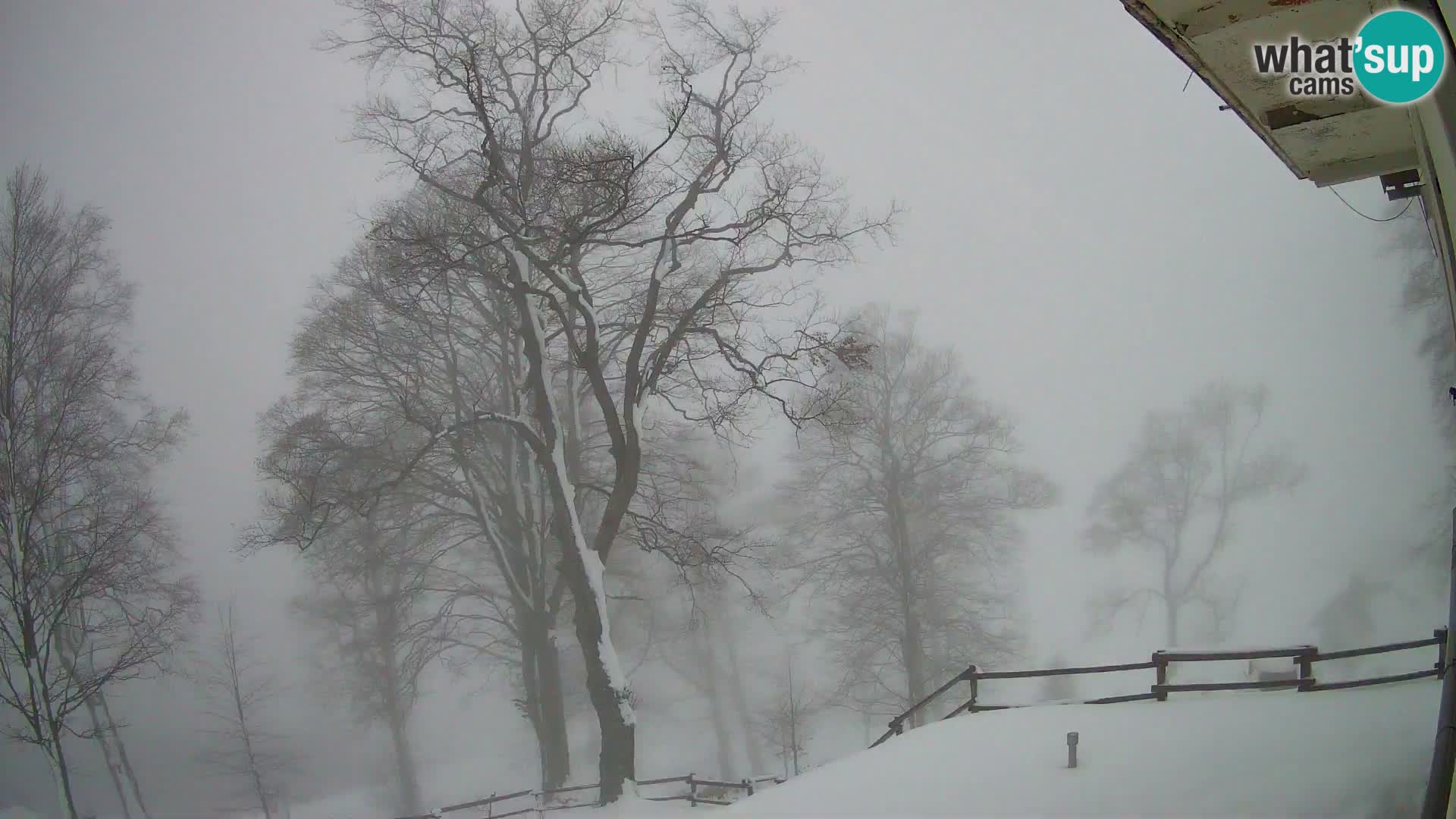 Refuge de la montagne Planina Razor caméra en direct (1315) | vue sur Tolminski Migovec