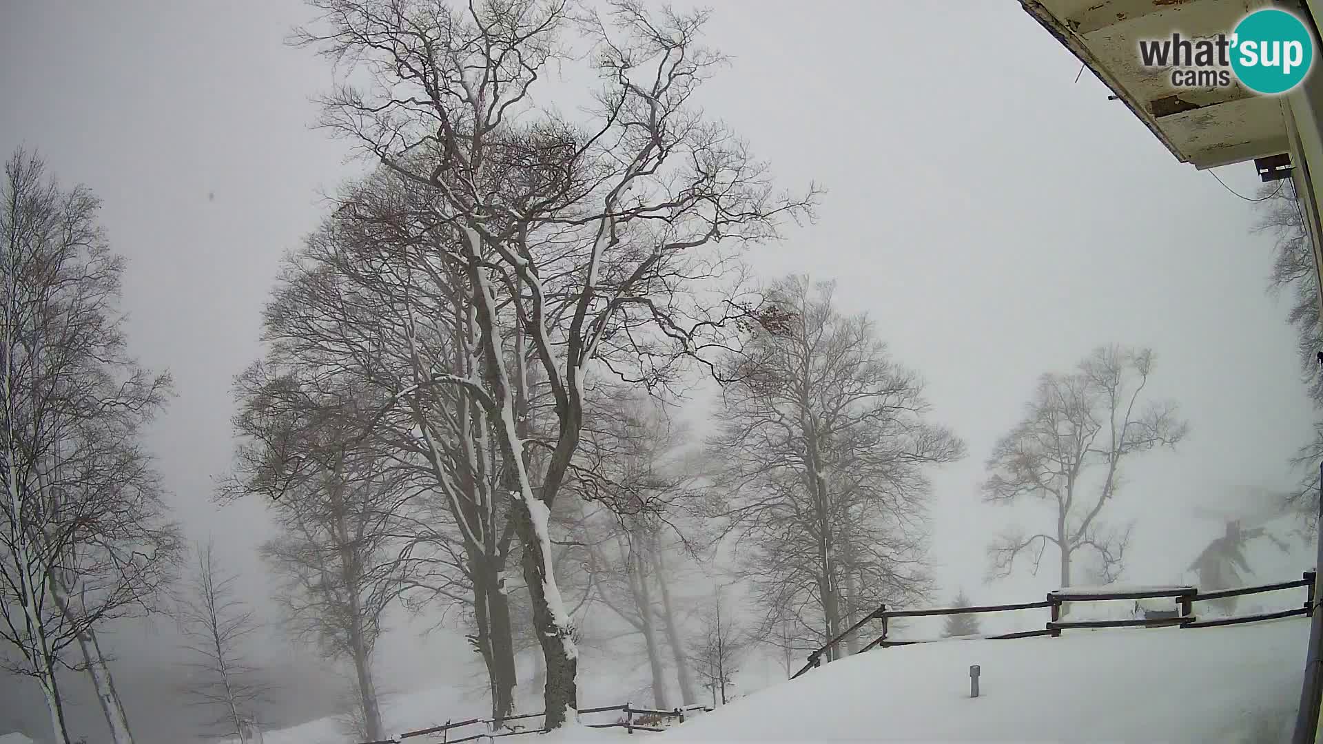 Baita di montagna Planina Razor webcam (1315) | vista su Tolminski Migovec
