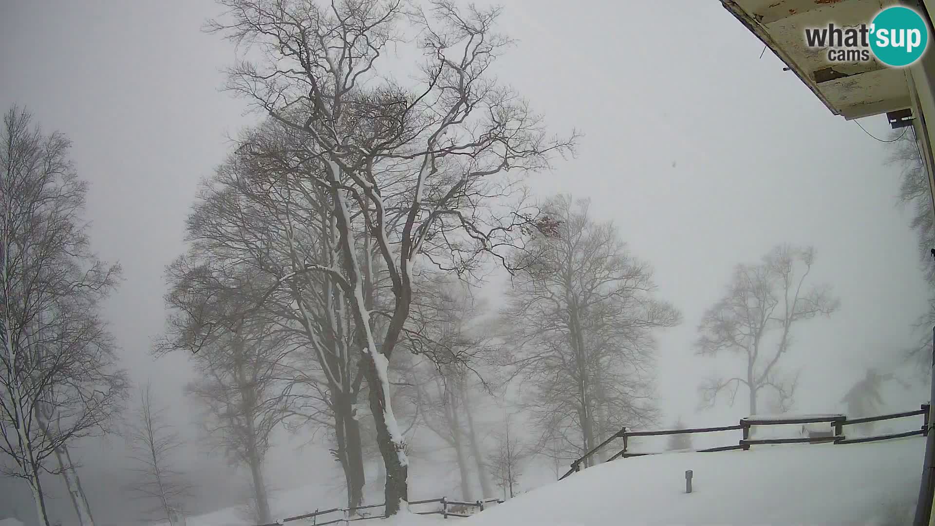 Planina Razor Mountain Hut live cam (1315) | view to Tolminski Migovec