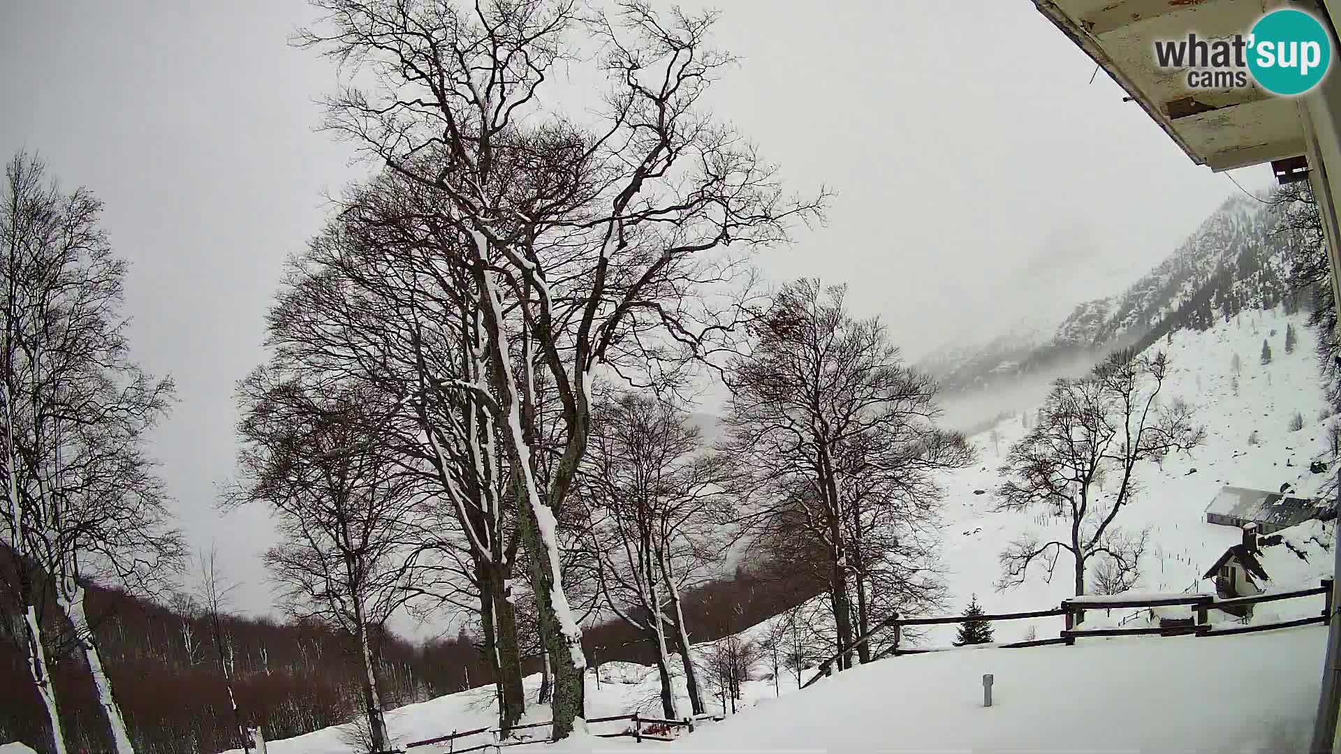 Baita di montagna Planina Razor webcam (1315) | vista su Tolminski Migovec