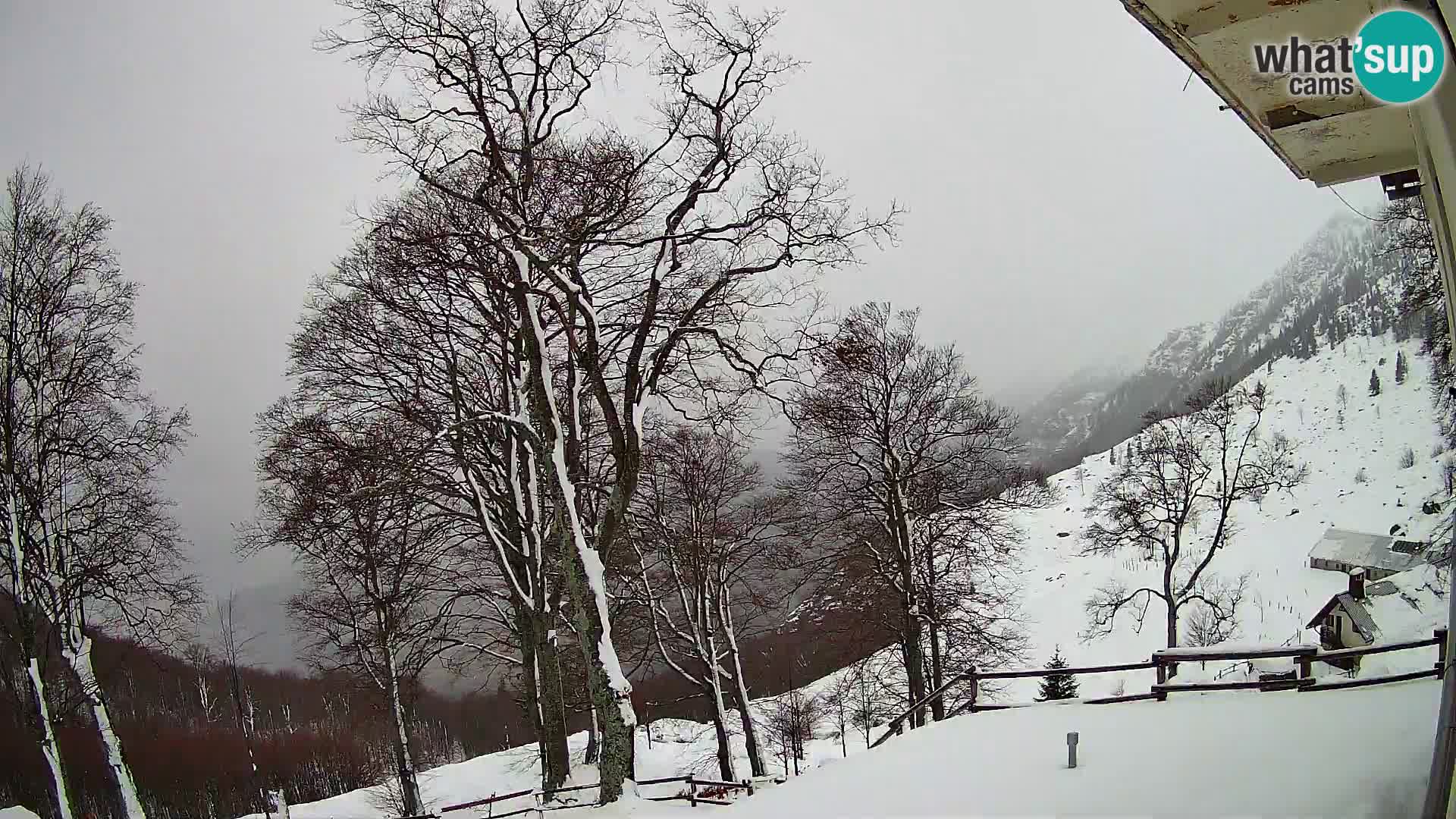 Planina Razor Mountain Hut live cam (1315) | view to Tolminski Migovec