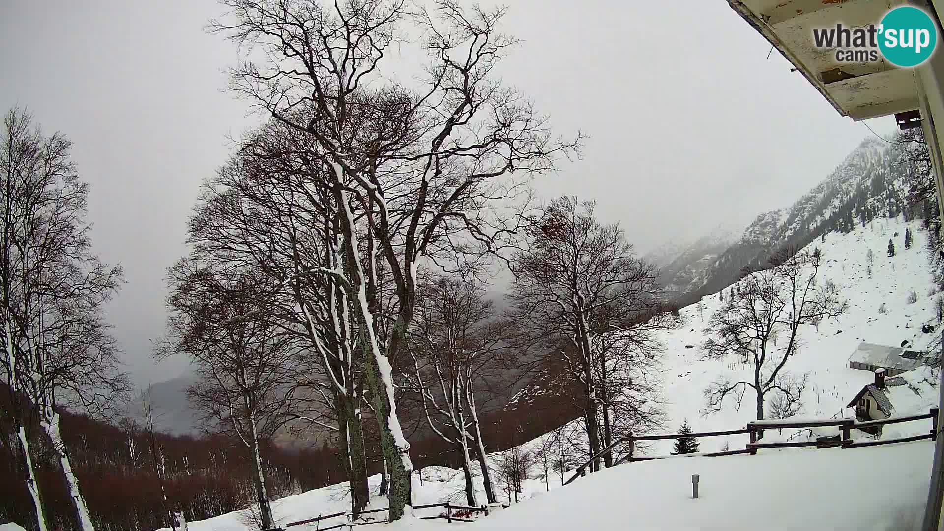 Planina Razor Mountain Hut live cam (1315) | view to Tolminski Migovec