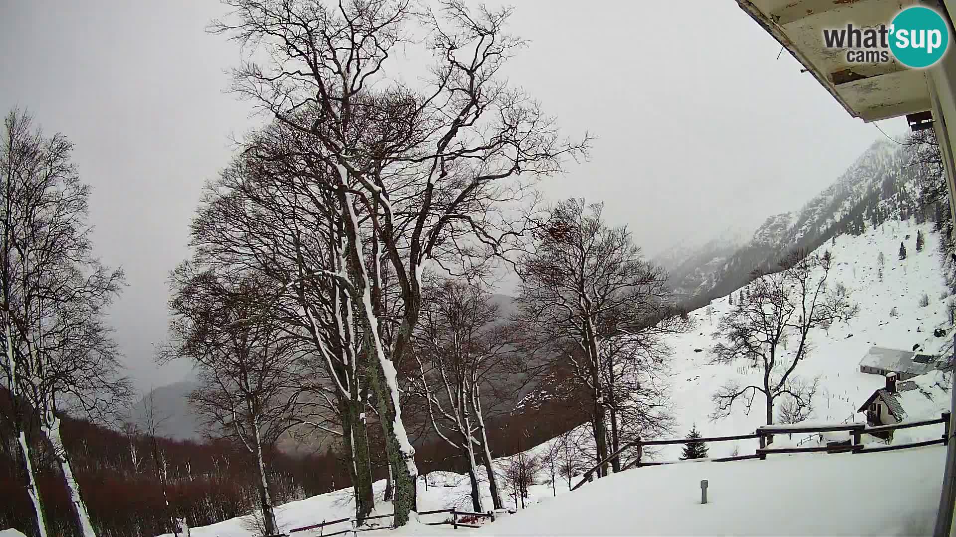 Cámara en vivo de la cabaña de montaña Planina Razor (1315) | vista hacia Tolminski Migovec