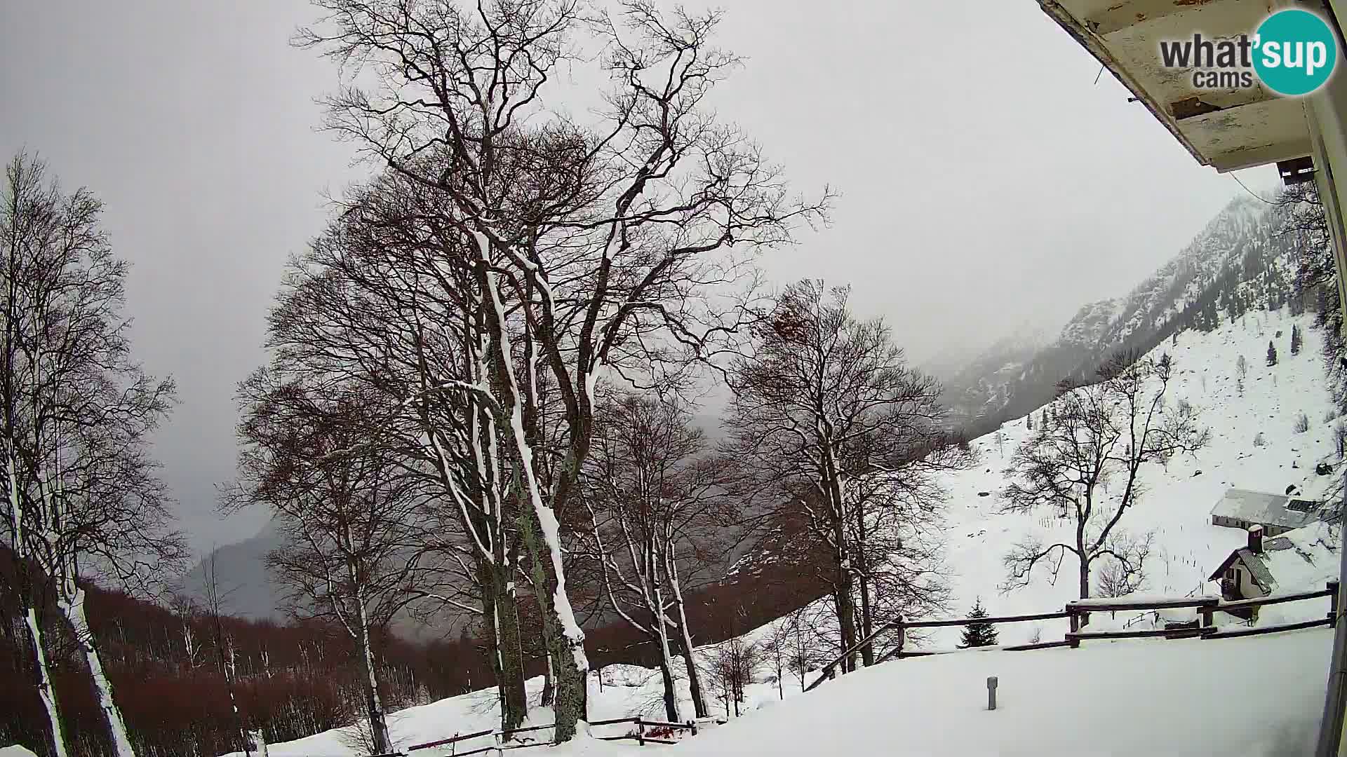 Planina Razor Bergütte Webcam (1315) | Blick auf Tolminski Migovec