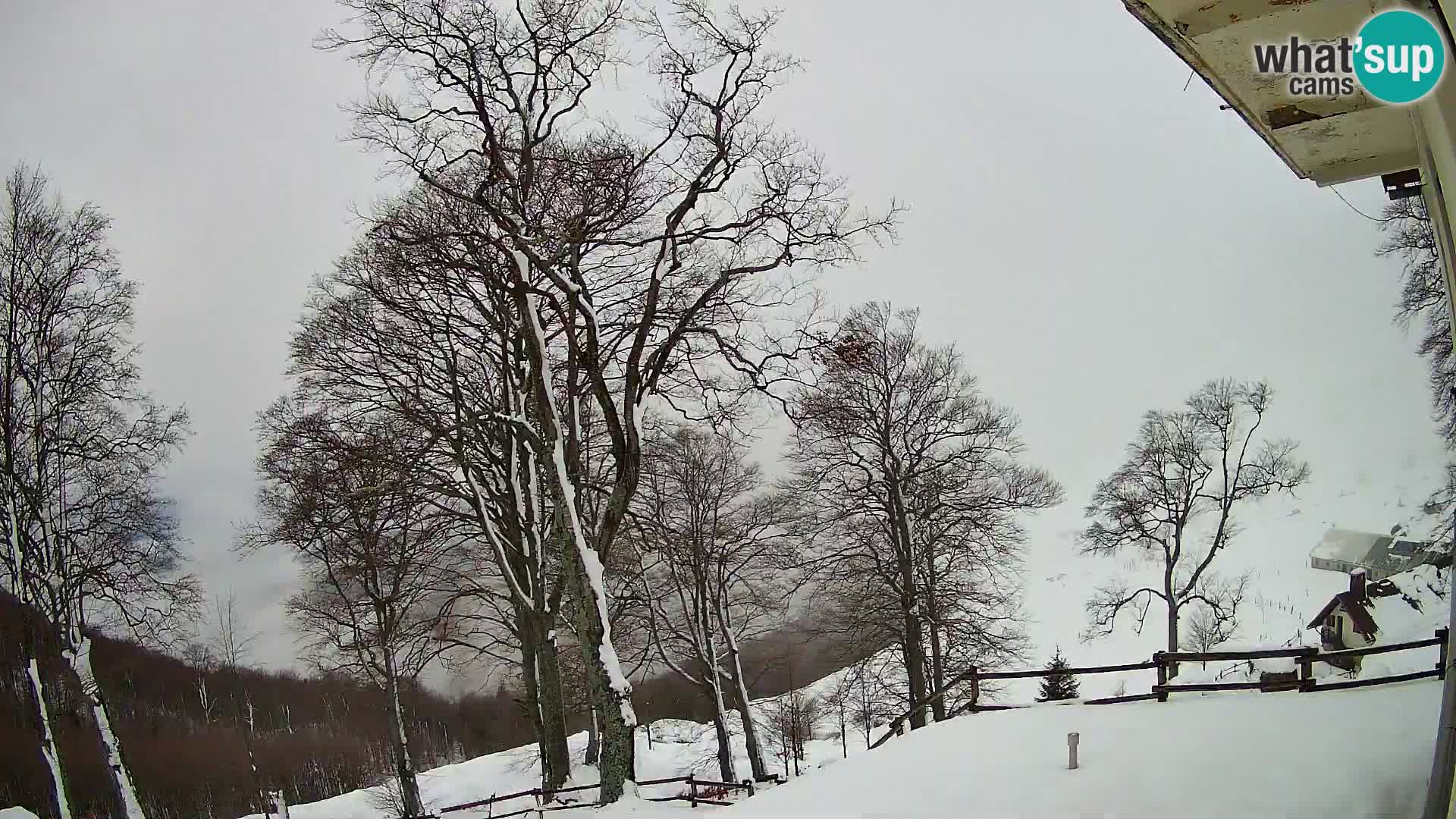 Baita di montagna Planina Razor webcam (1315) | vista su Tolminski Migovec